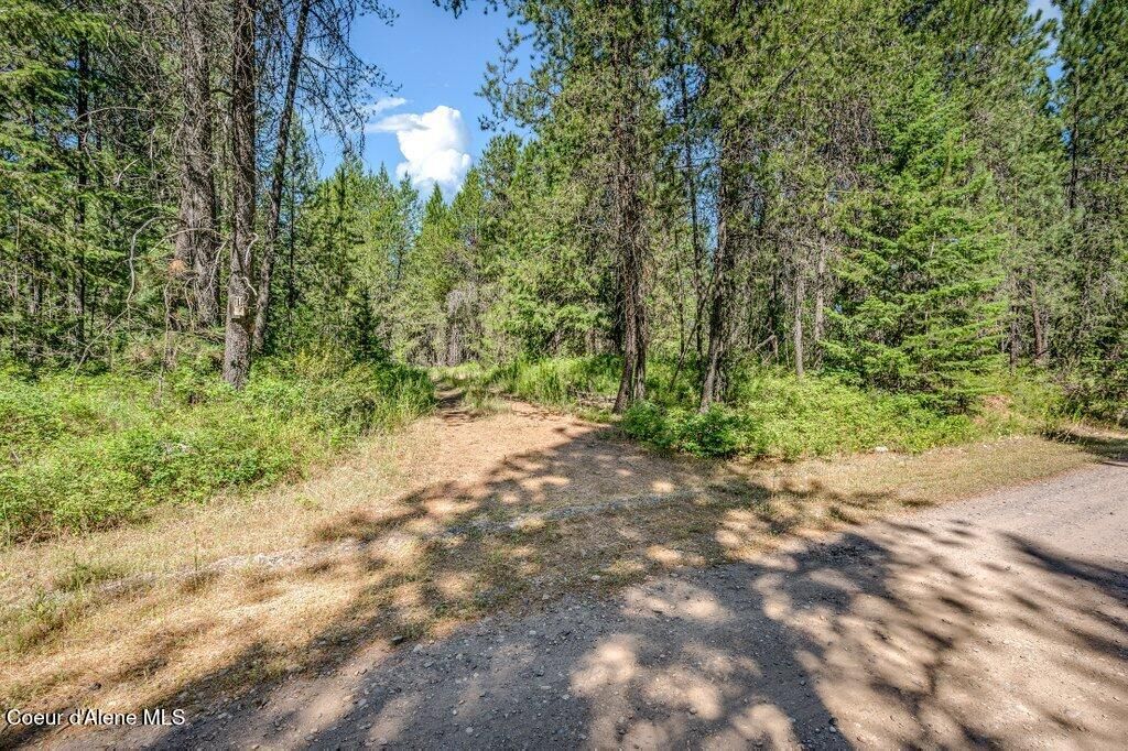 Photo of 2013 Homestead Rd Rd, Athol, ID 83801 (MLS # 26-7328)