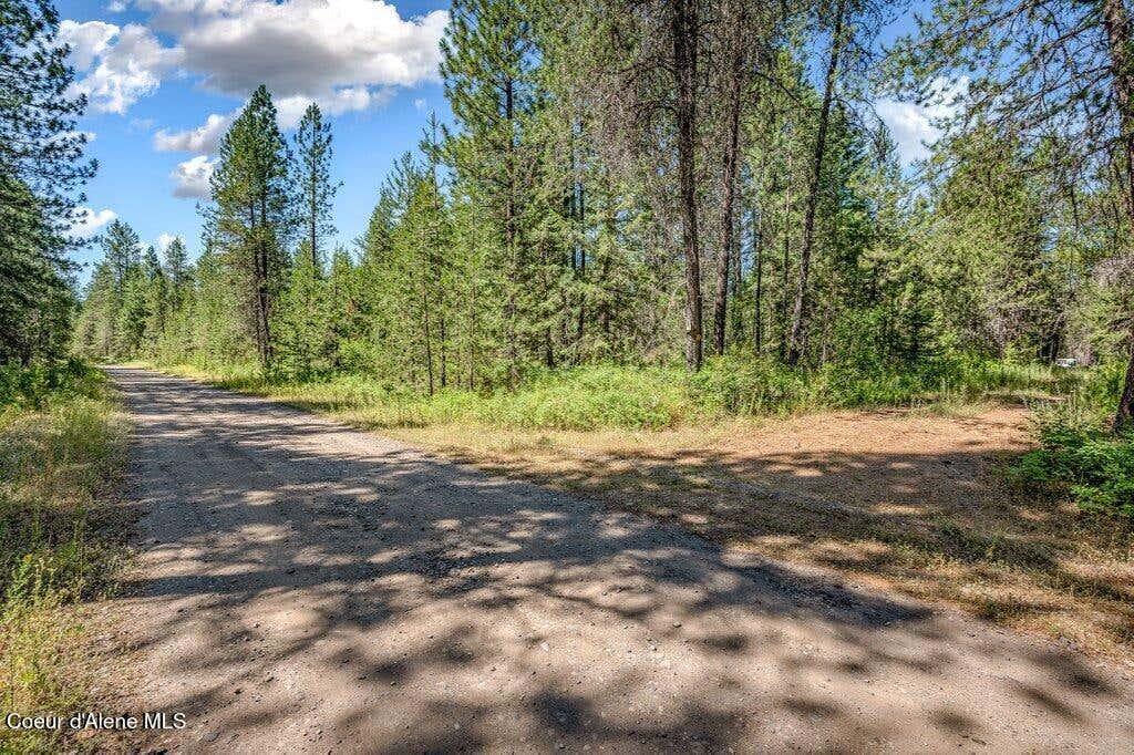 Photo of 2013 Homestead Rd Rd, Athol, ID 83801 (MLS # 26-7328)