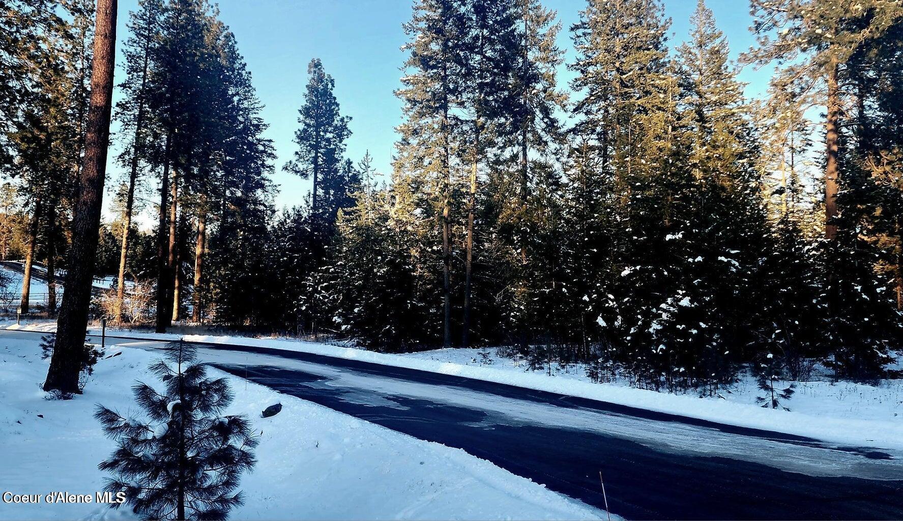 L15 Blk 1 E Gifted View, Coeur d'Alene, Texas image 48