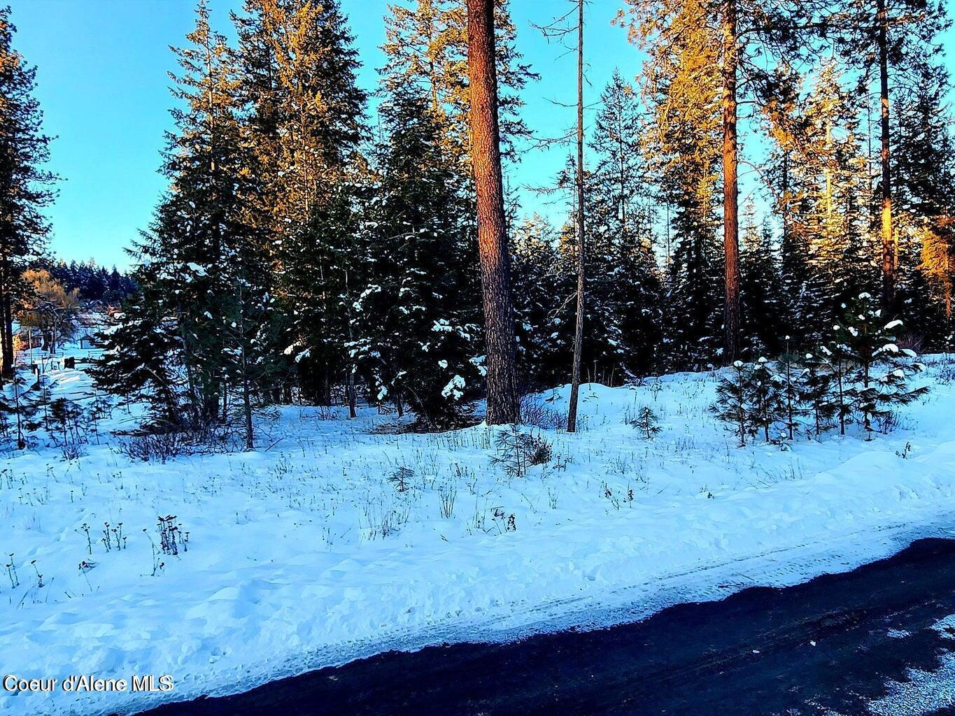 L15 Blk 1 E Gifted View, Coeur d'Alene, Texas image 50