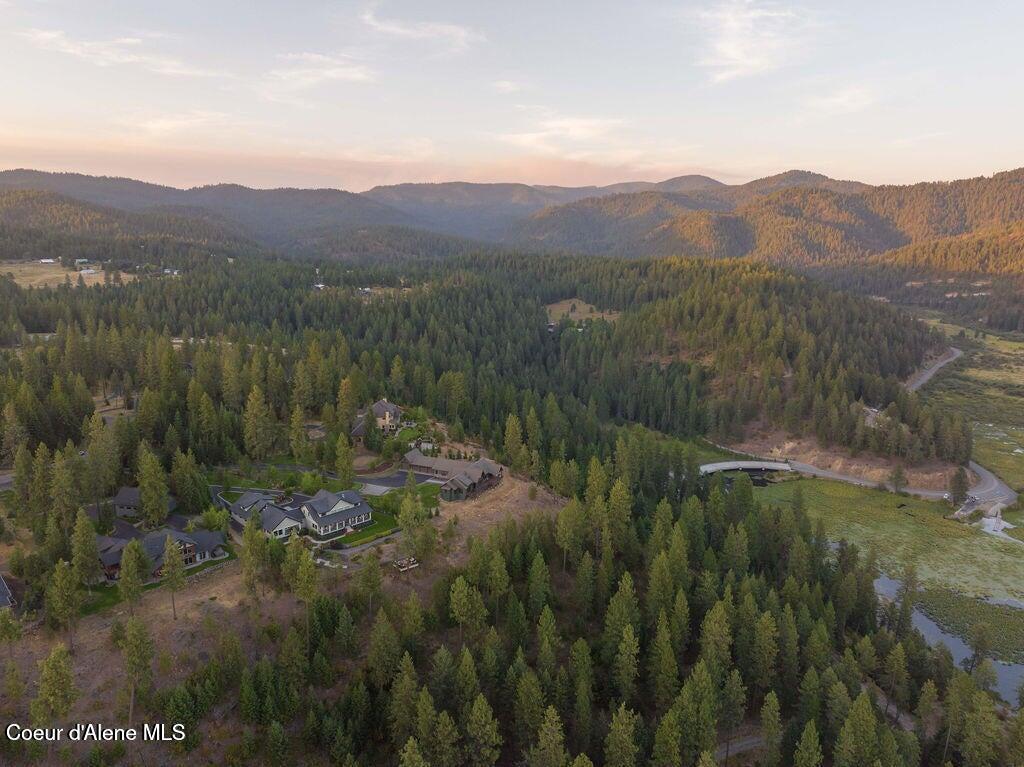 L15 Blk 1 E Gifted View, Coeur d'Alene, Texas image 46