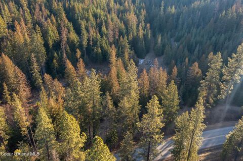 Vacant Land For Sale - NNA Sophie Hills Lot 1<br/> Harrison, ID 83833