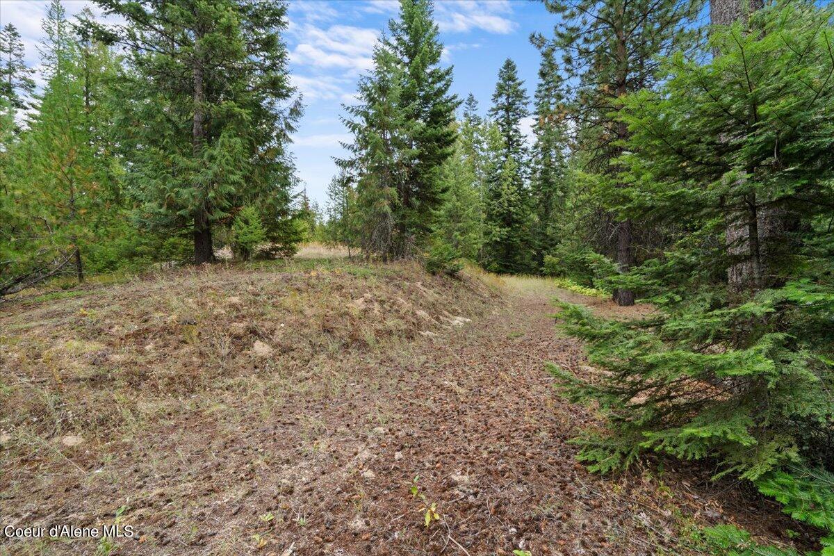 NKA Schneiders Rd, Sagle, Idaho image 18