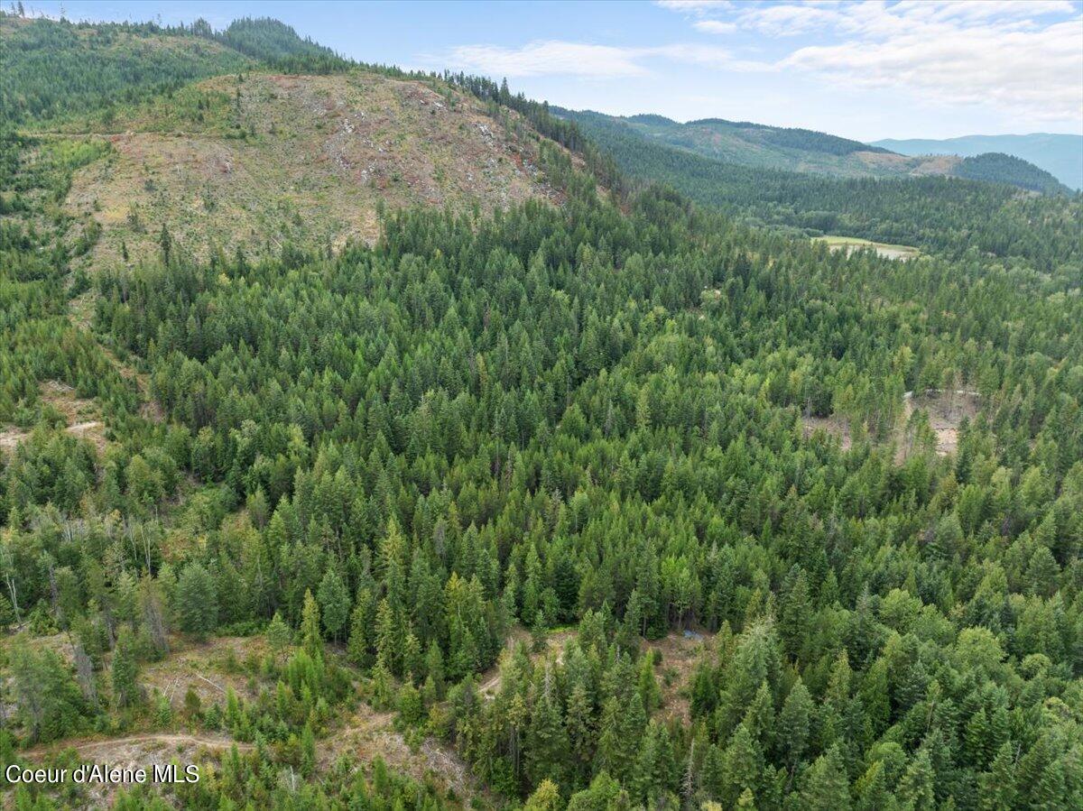 NKA Schneiders Rd, Sagle, Idaho image 9