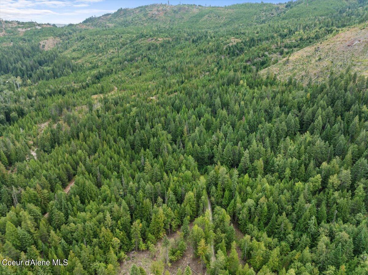 NKA Schneiders Rd, Sagle, Idaho image 30