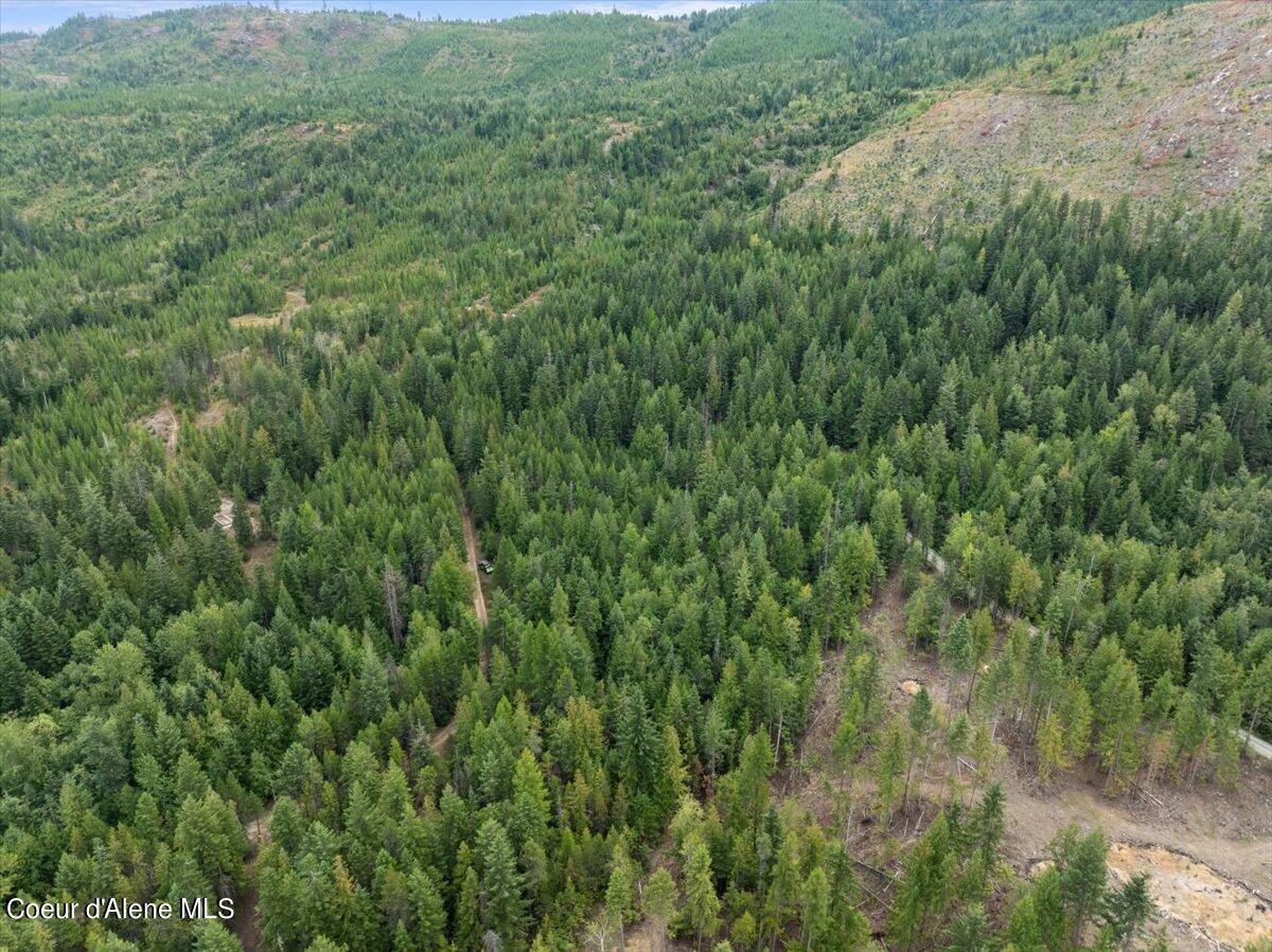 NKA Schneiders Rd, Sagle, Idaho image 31