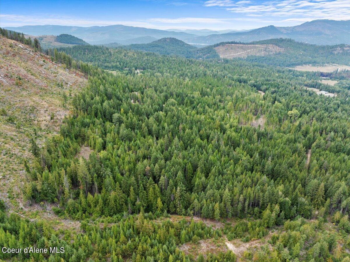 NKA Schneiders Rd, Sagle, Idaho image 27