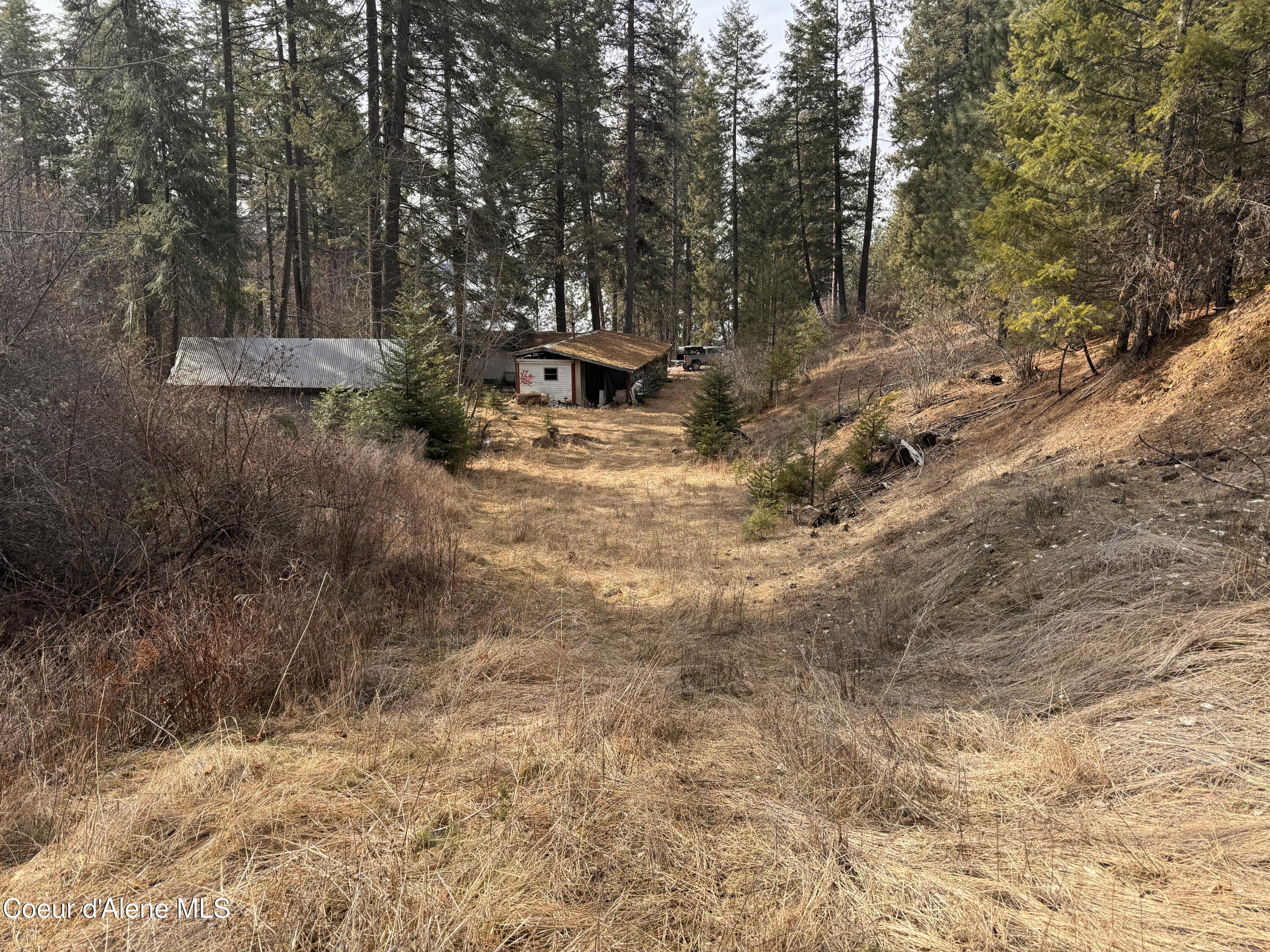 32102 S Highway 97, Harrison, Idaho image 1