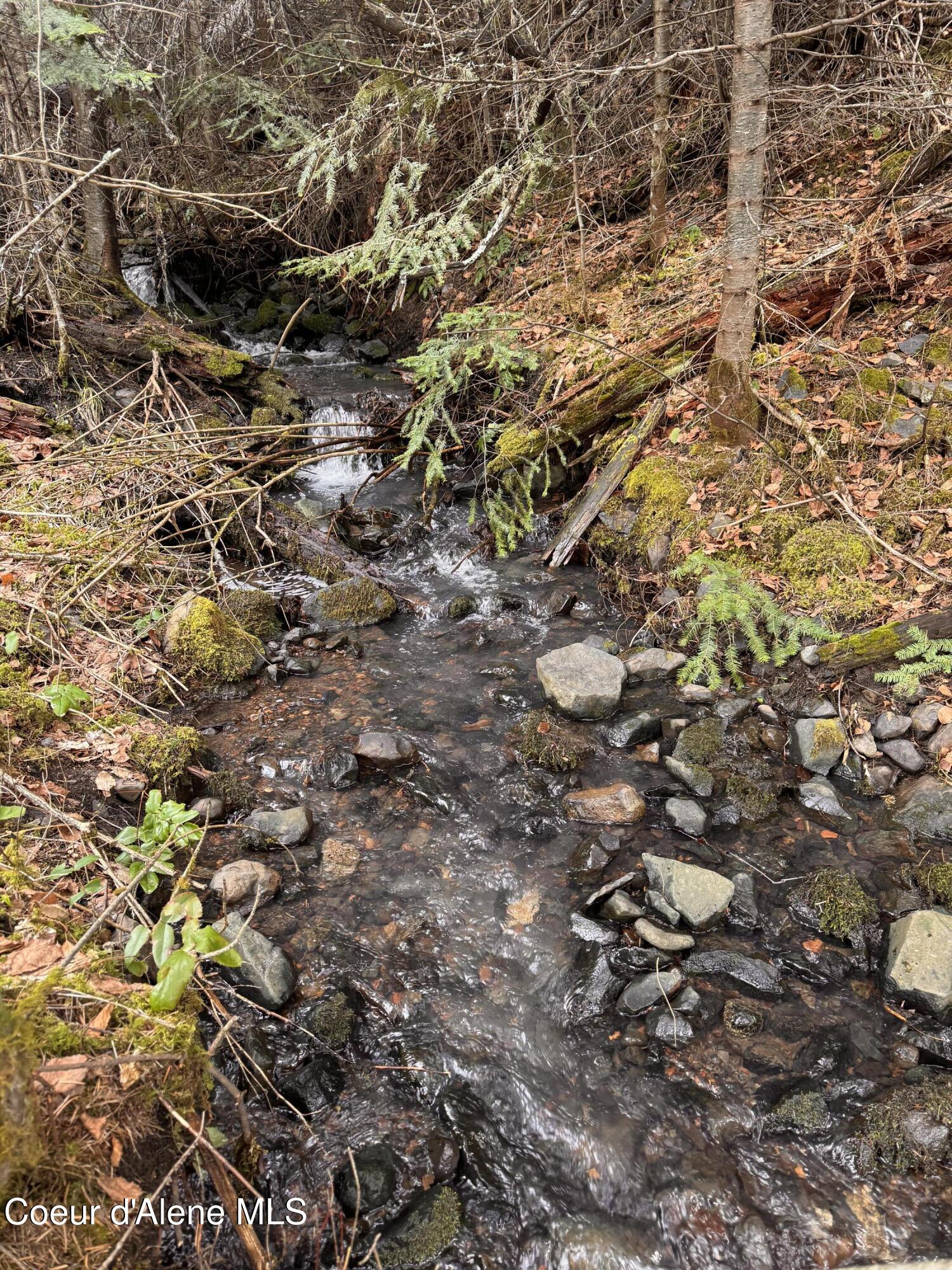 32102 S Highway 97, Harrison, Idaho image 3