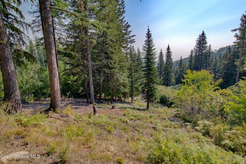 Vacant Land For Sale - BLK4 LOT4 Ullr Dr Dr<br/> Sandpoint, ID 83864