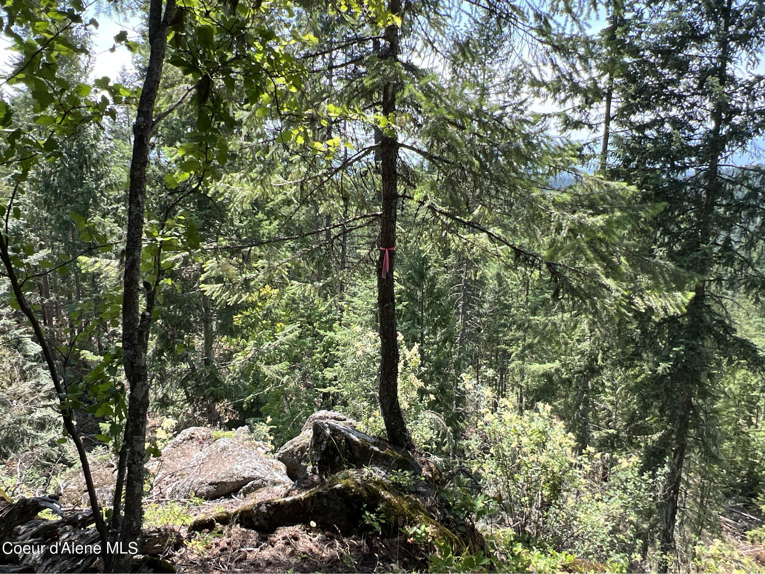 NKA Raven Ridge, Sandpoint, Idaho image 17