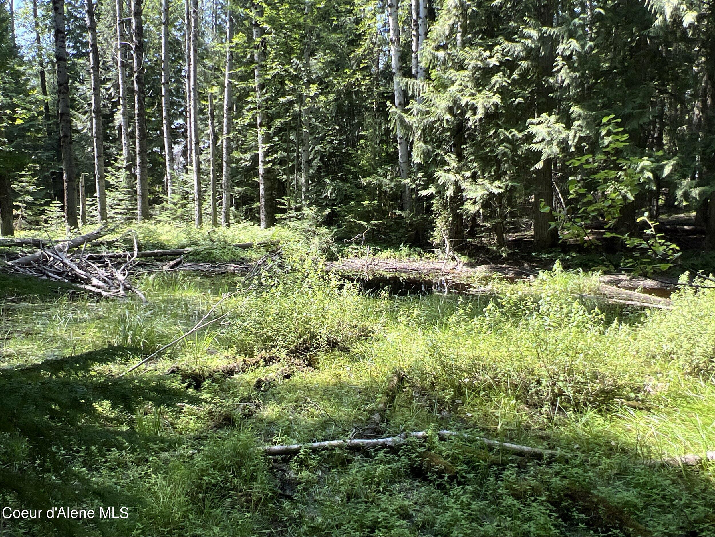 NKA Raven Ridge, Sandpoint, Idaho image 10