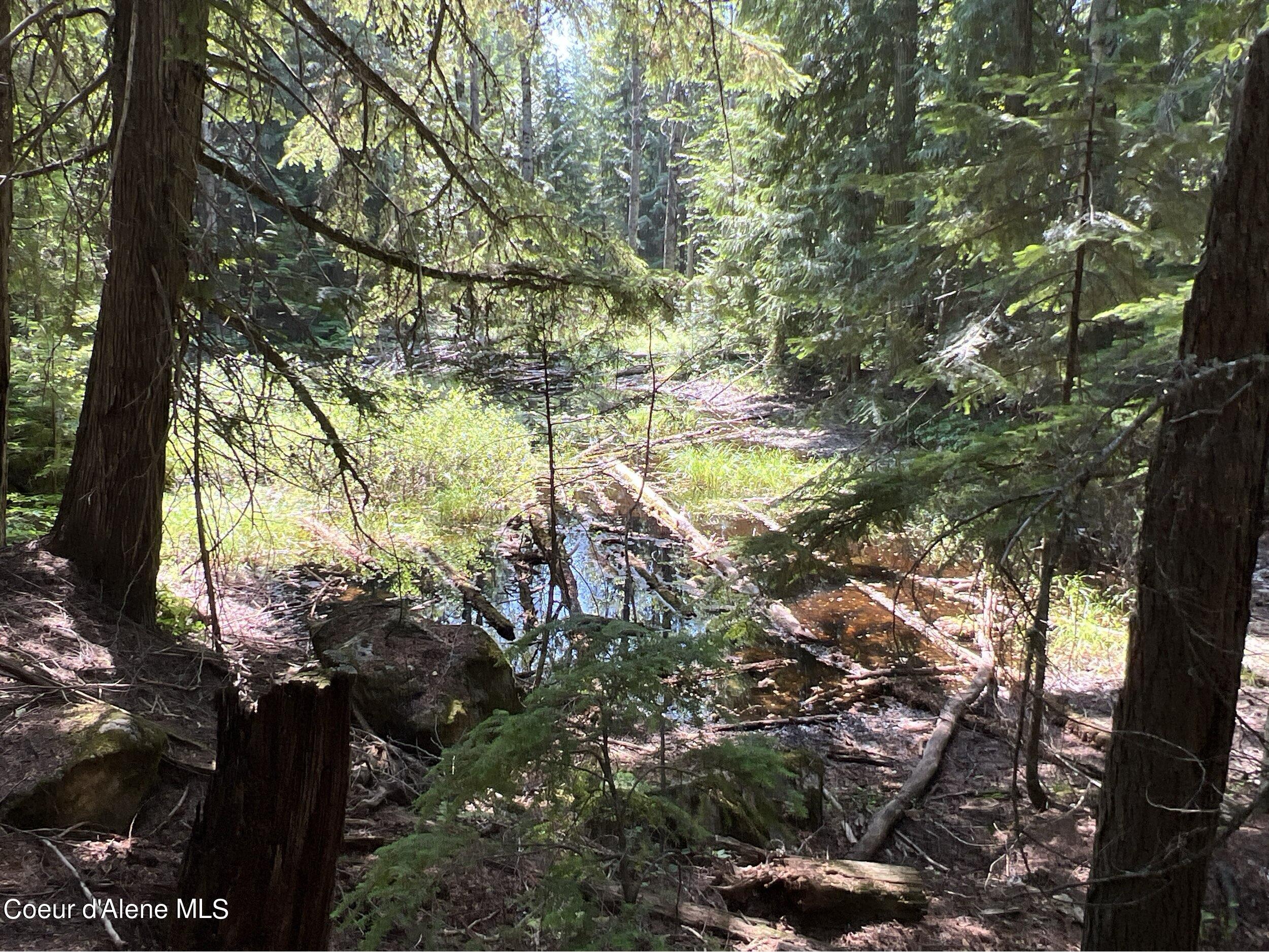 NKA Raven Ridge, Sandpoint, Idaho image 9