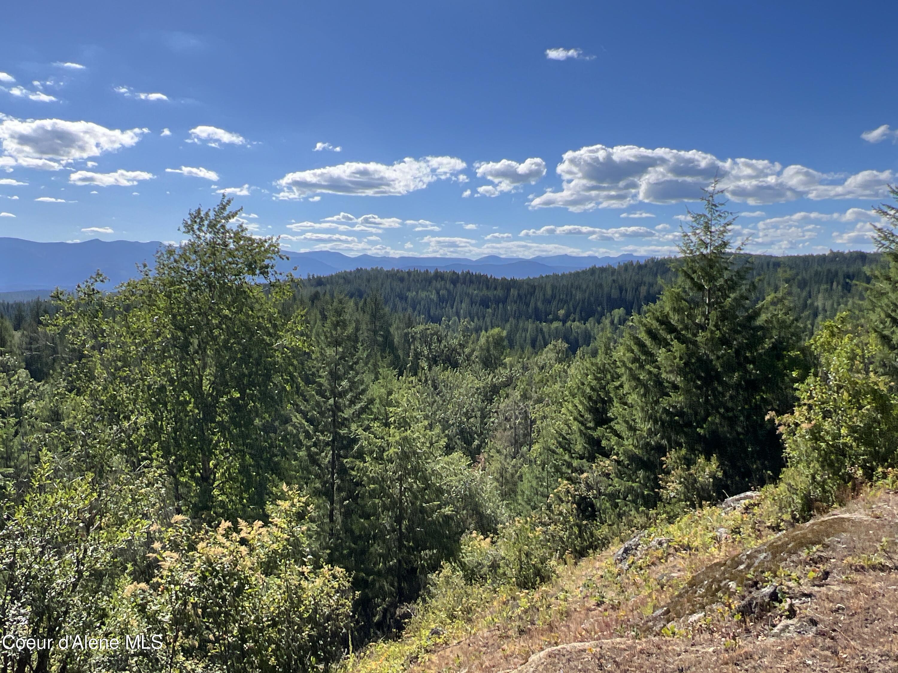 NKA Raven Ridge, Sandpoint, Idaho image 4