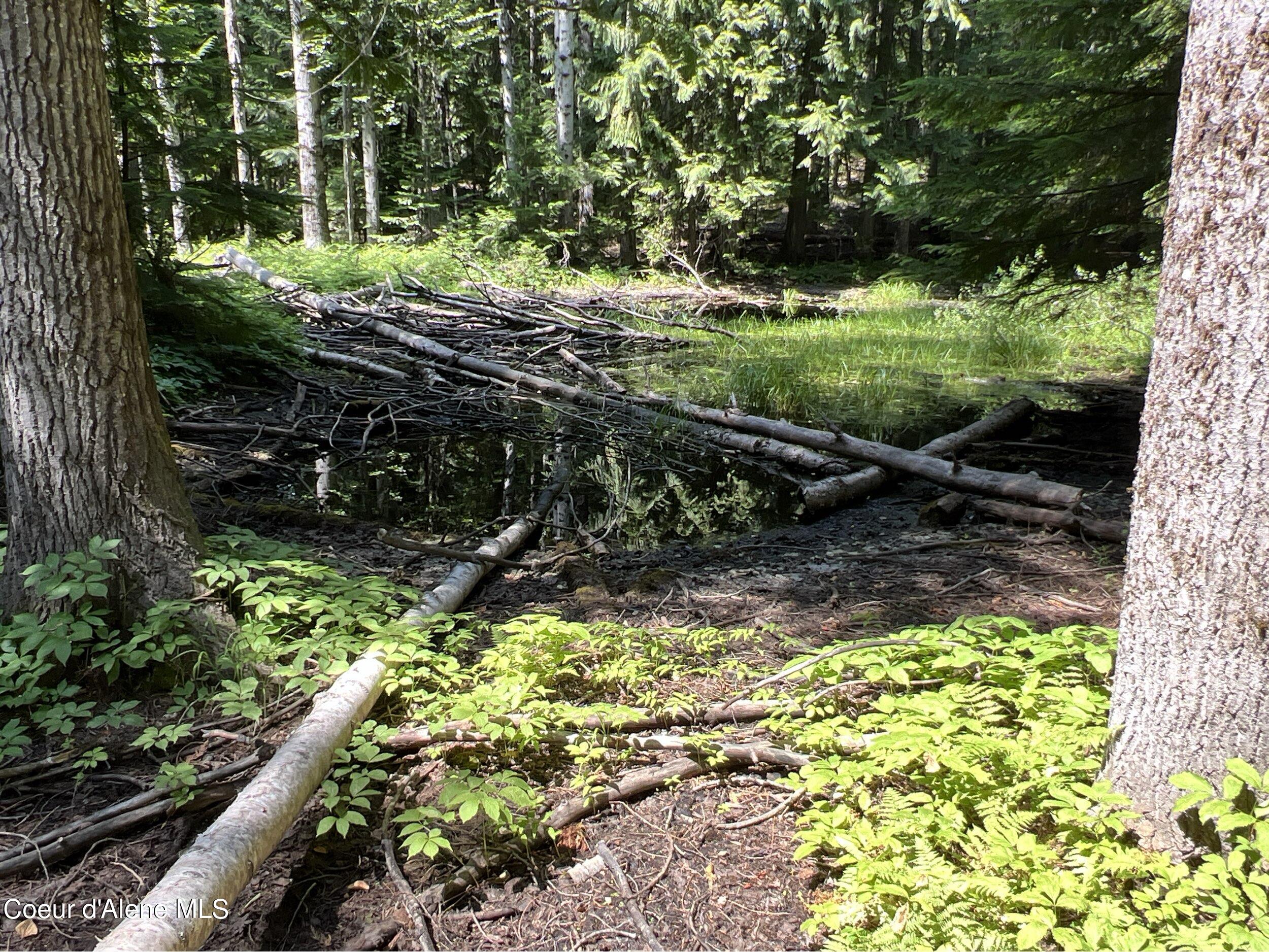 NKA Raven Ridge, Sandpoint, Idaho image 11