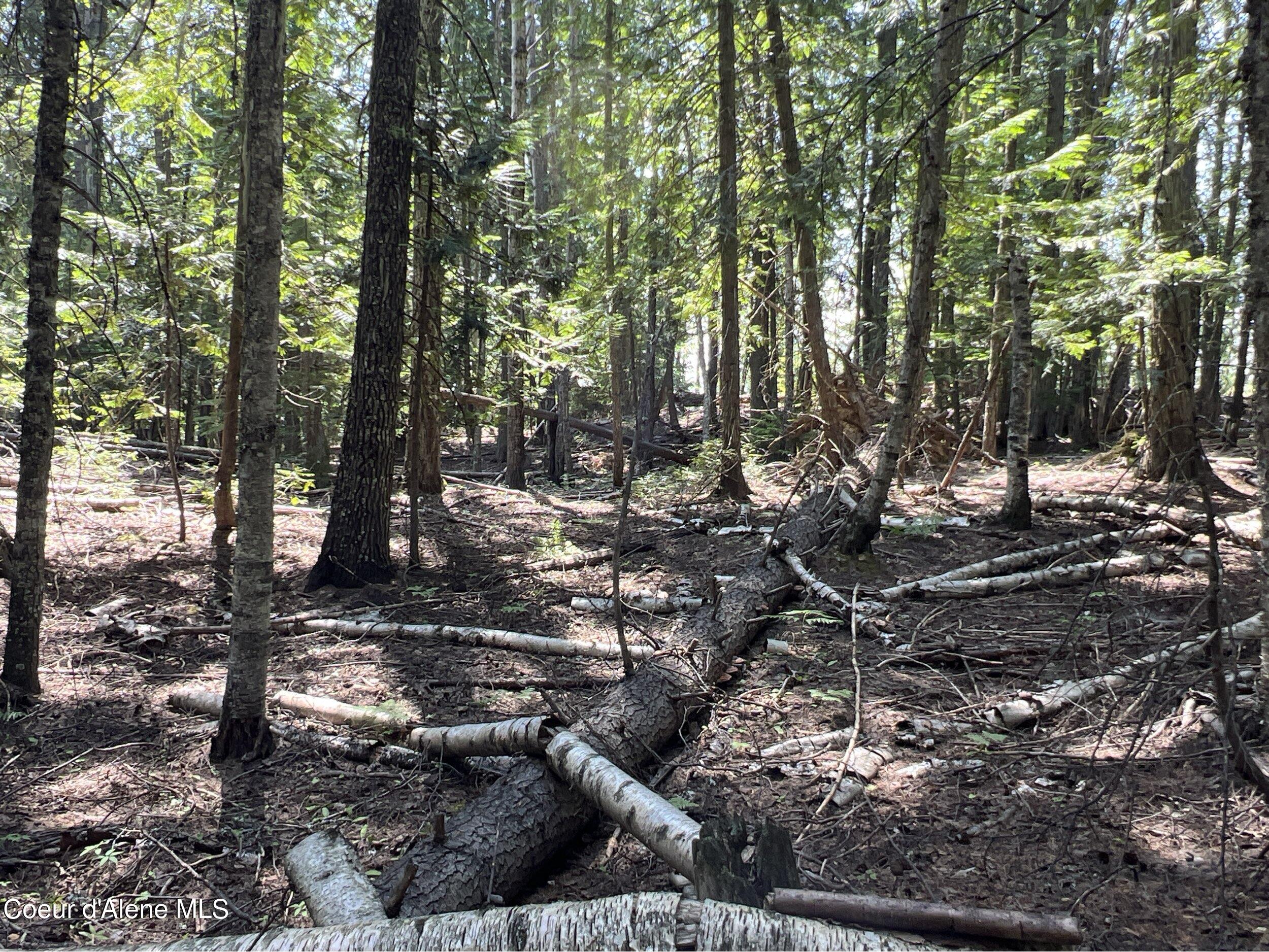 NKA Raven Ridge, Sandpoint, Idaho image 7