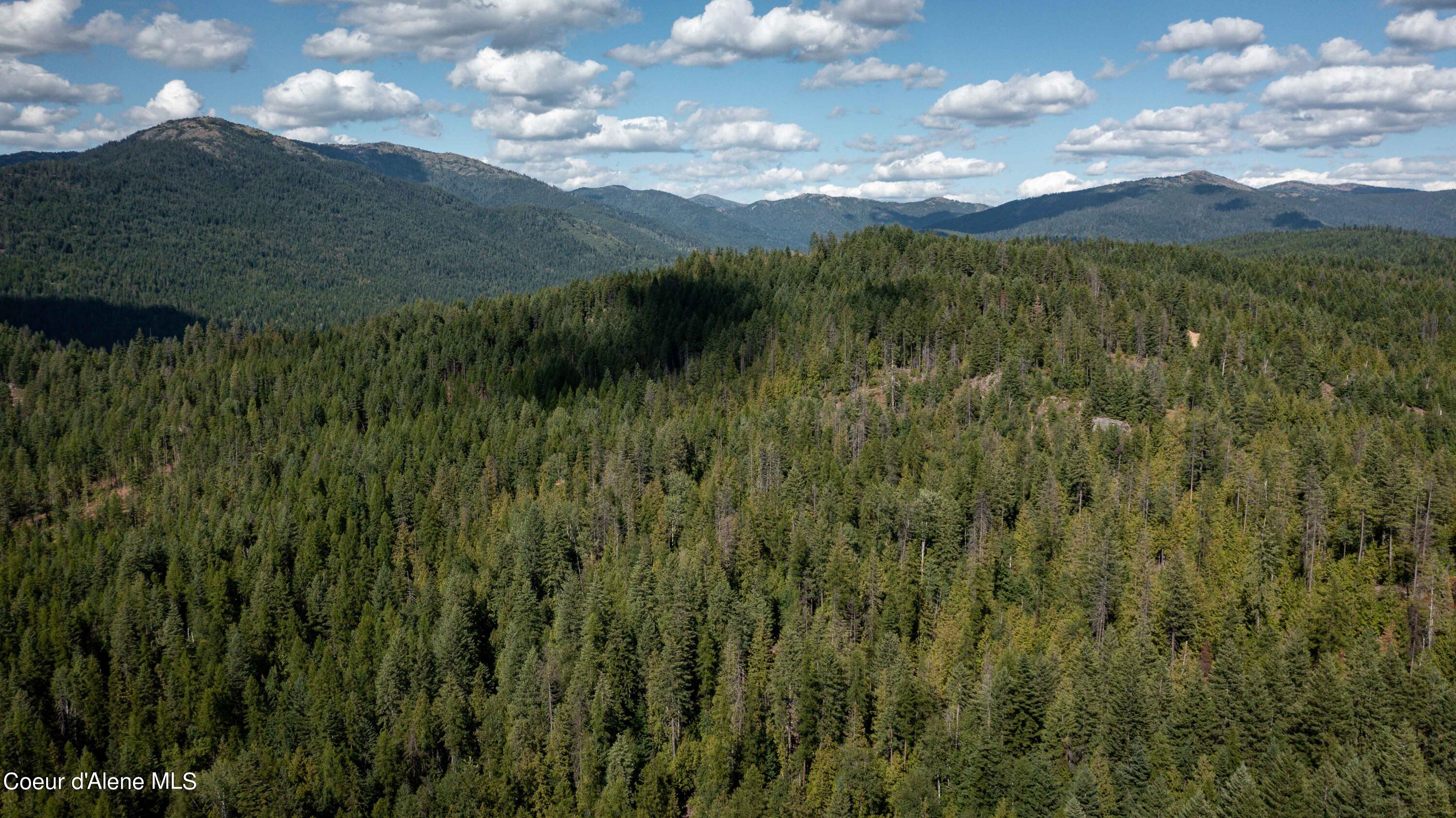 NKA Raven Ridge, Sandpoint, Idaho image 30