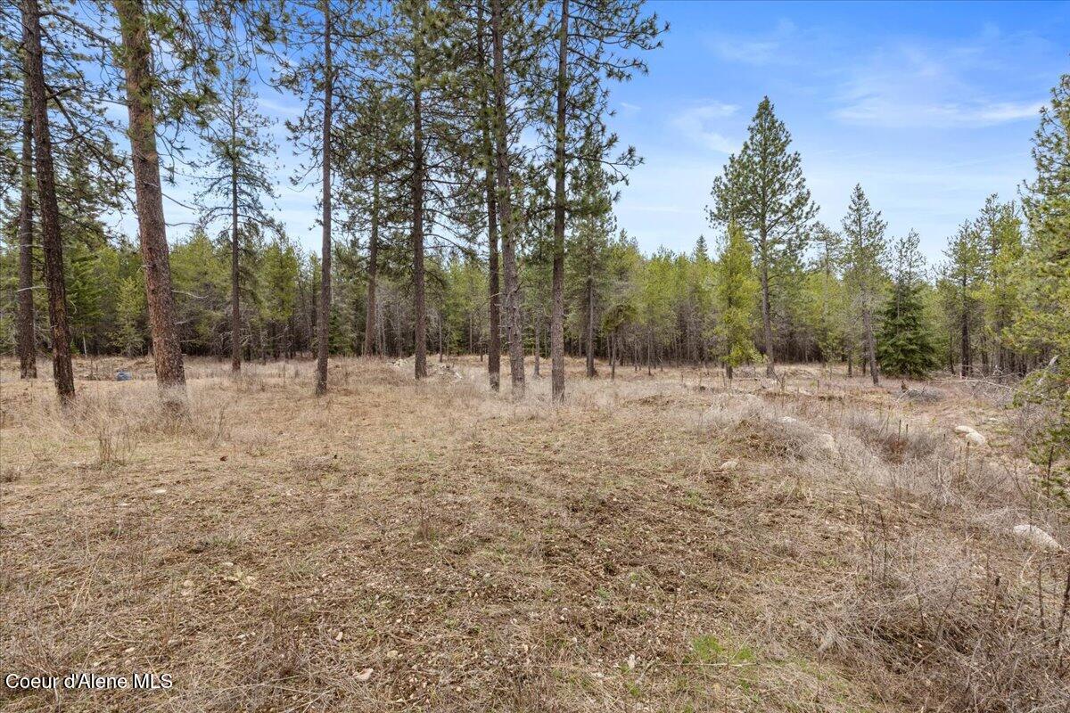 29154 N Old Highway 95 Drive #2, Athol, Texas image 6