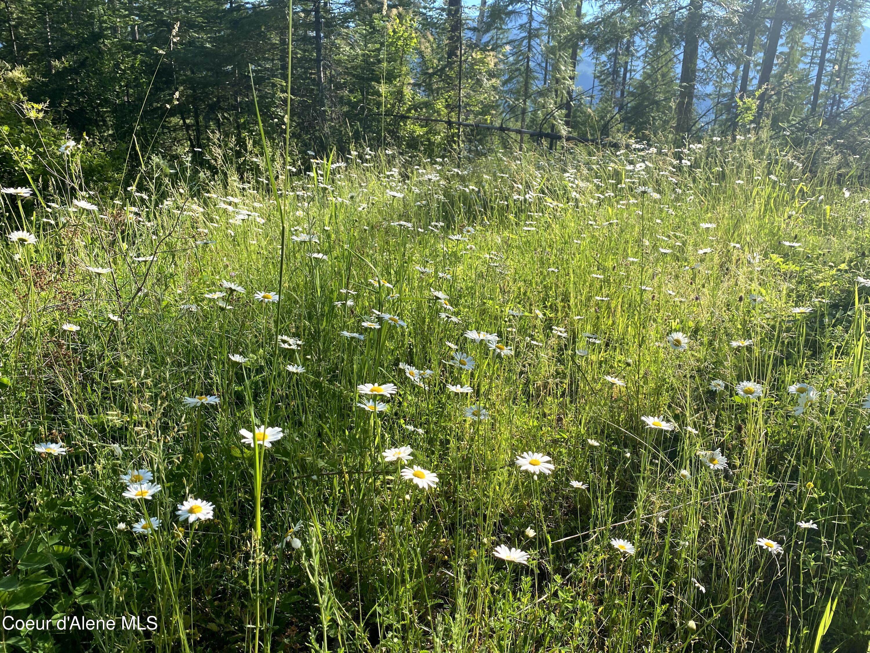 1150 E Old Range Rd, Clark Fork, Idaho image 9