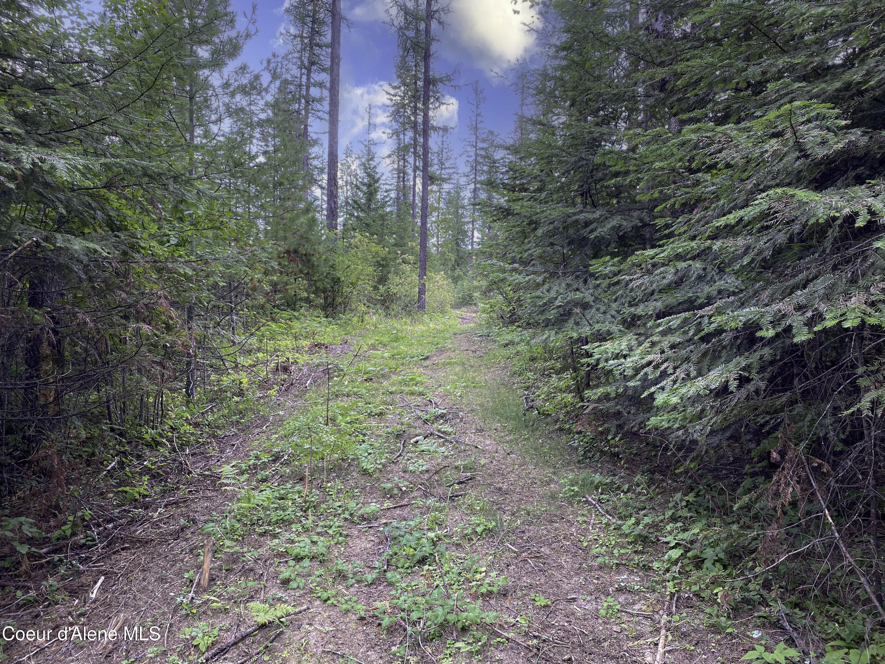 1150 E Old Range Rd, Clark Fork, Idaho image 6