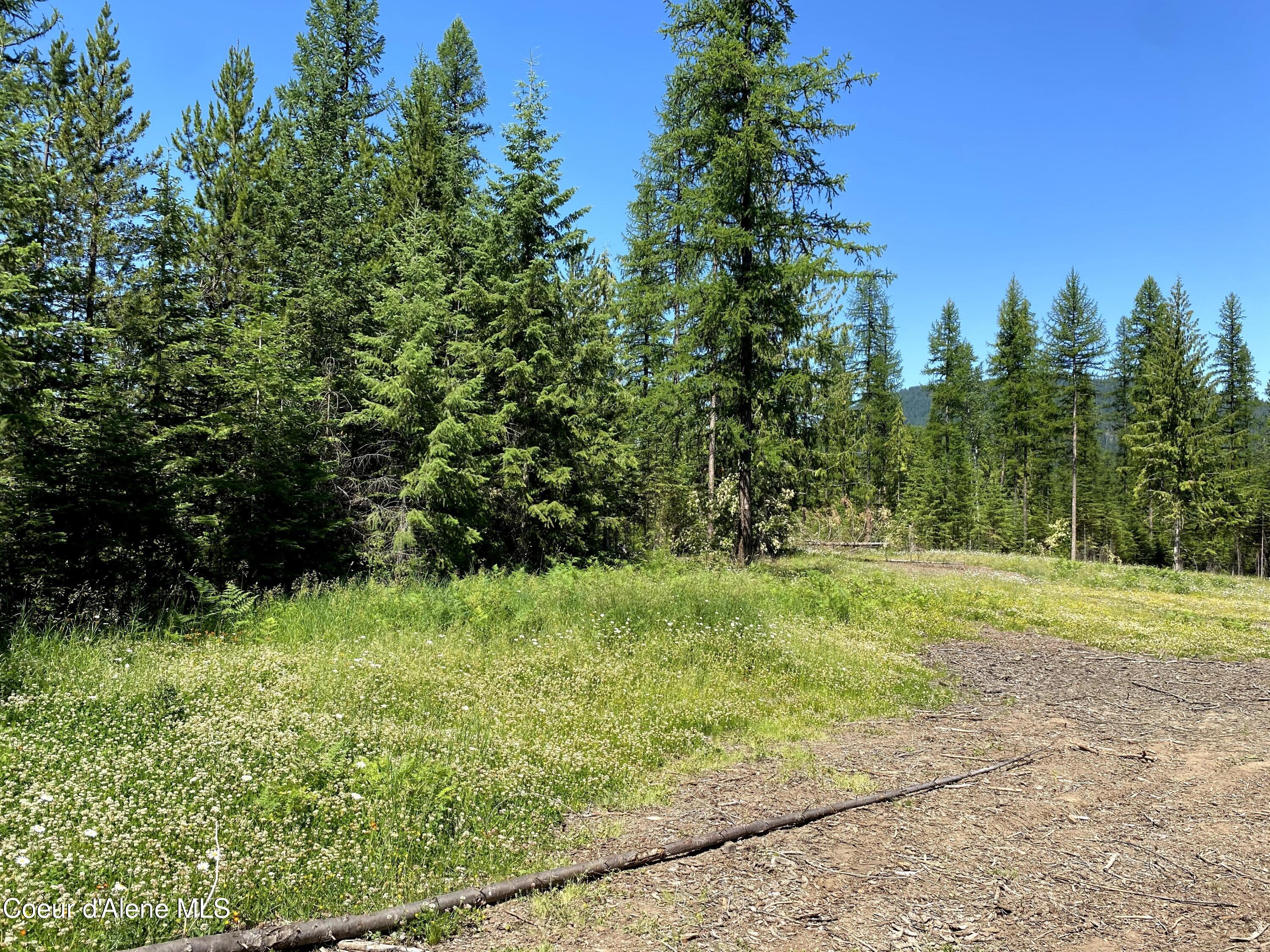 1150 E Old Range Rd, Clark Fork, Idaho image 10