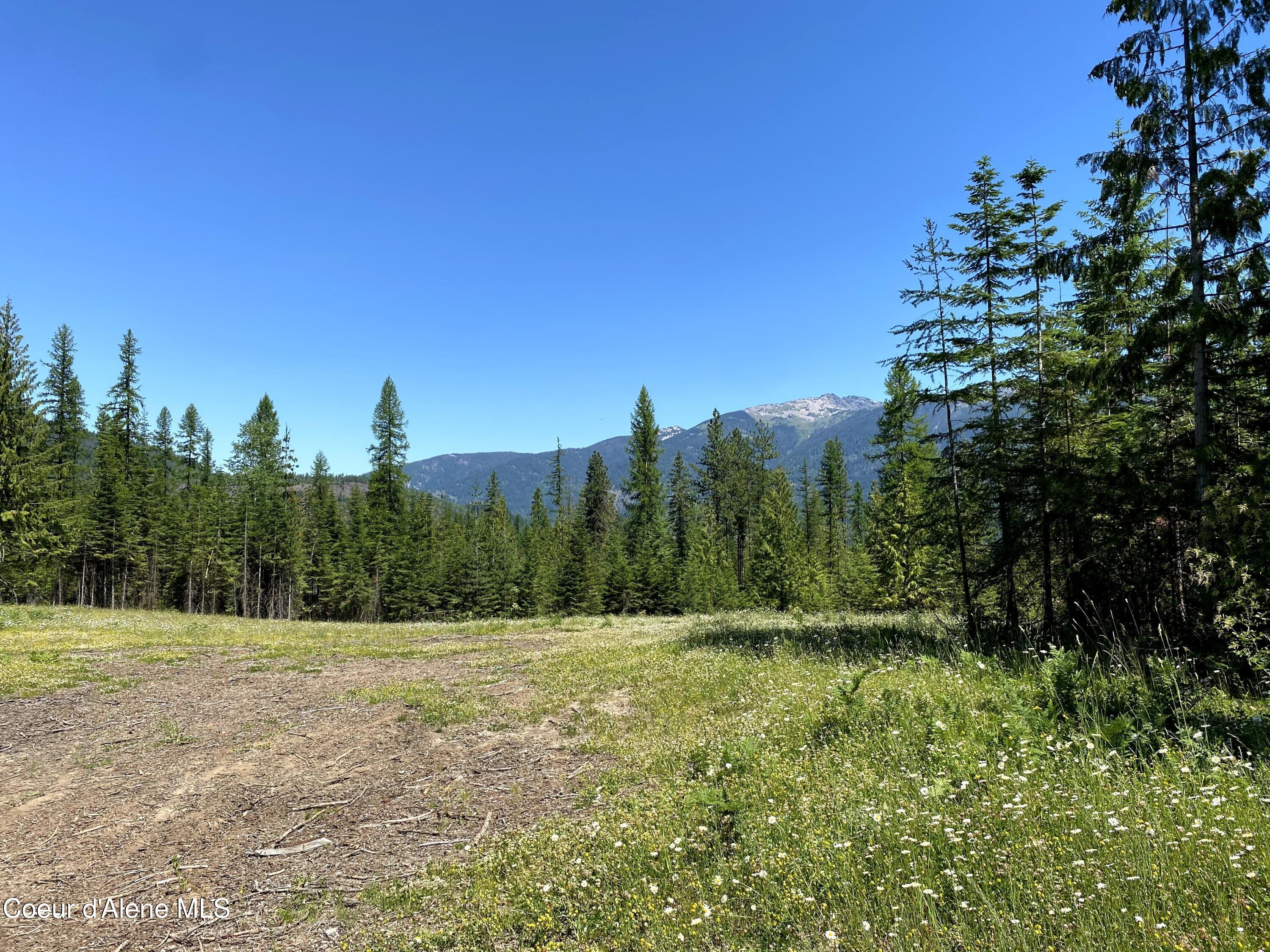 1150 E Old Range Rd, Clark Fork, Idaho image 2