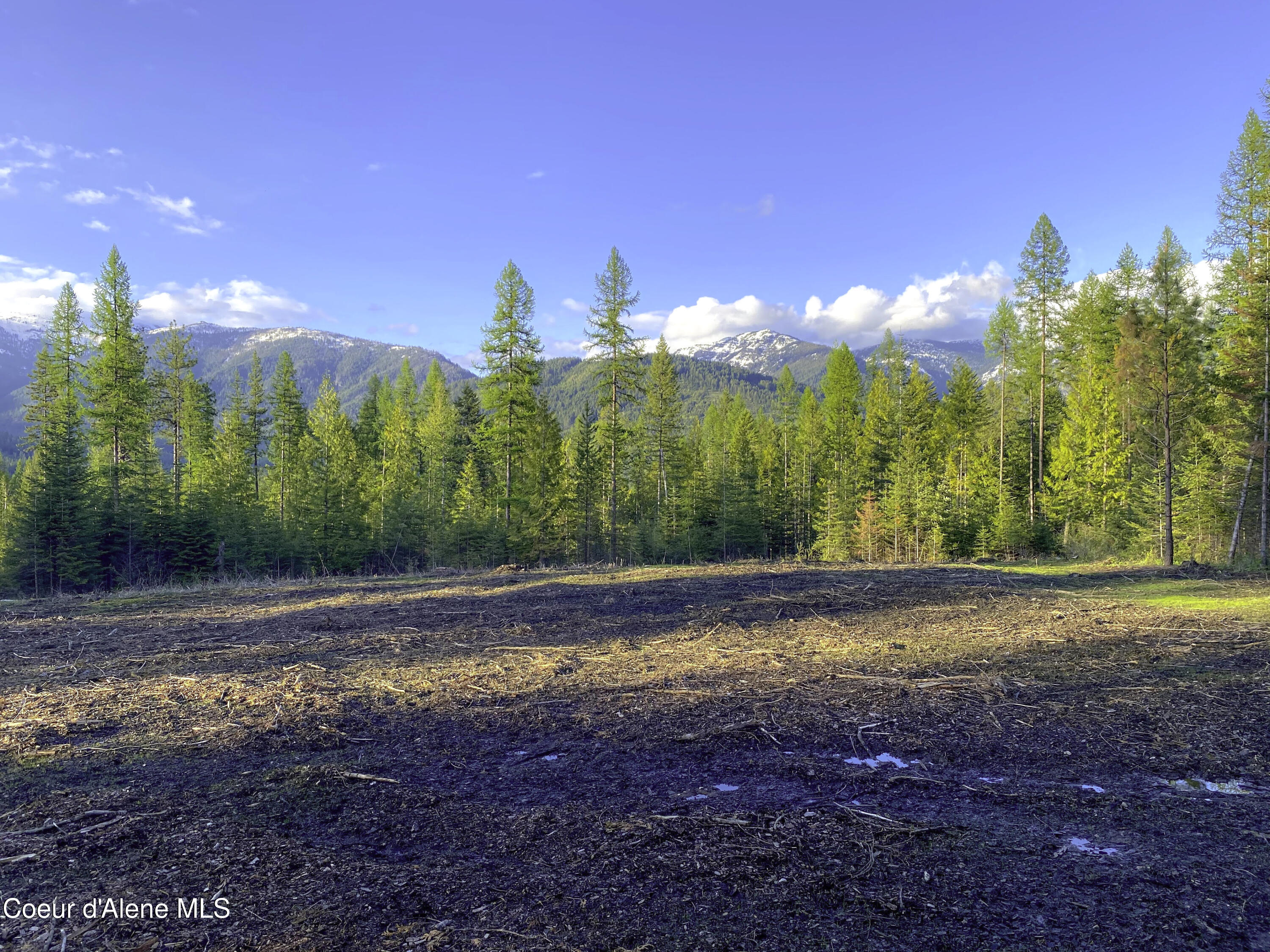 1150 E Old Range Rd, Clark Fork, Idaho image 15