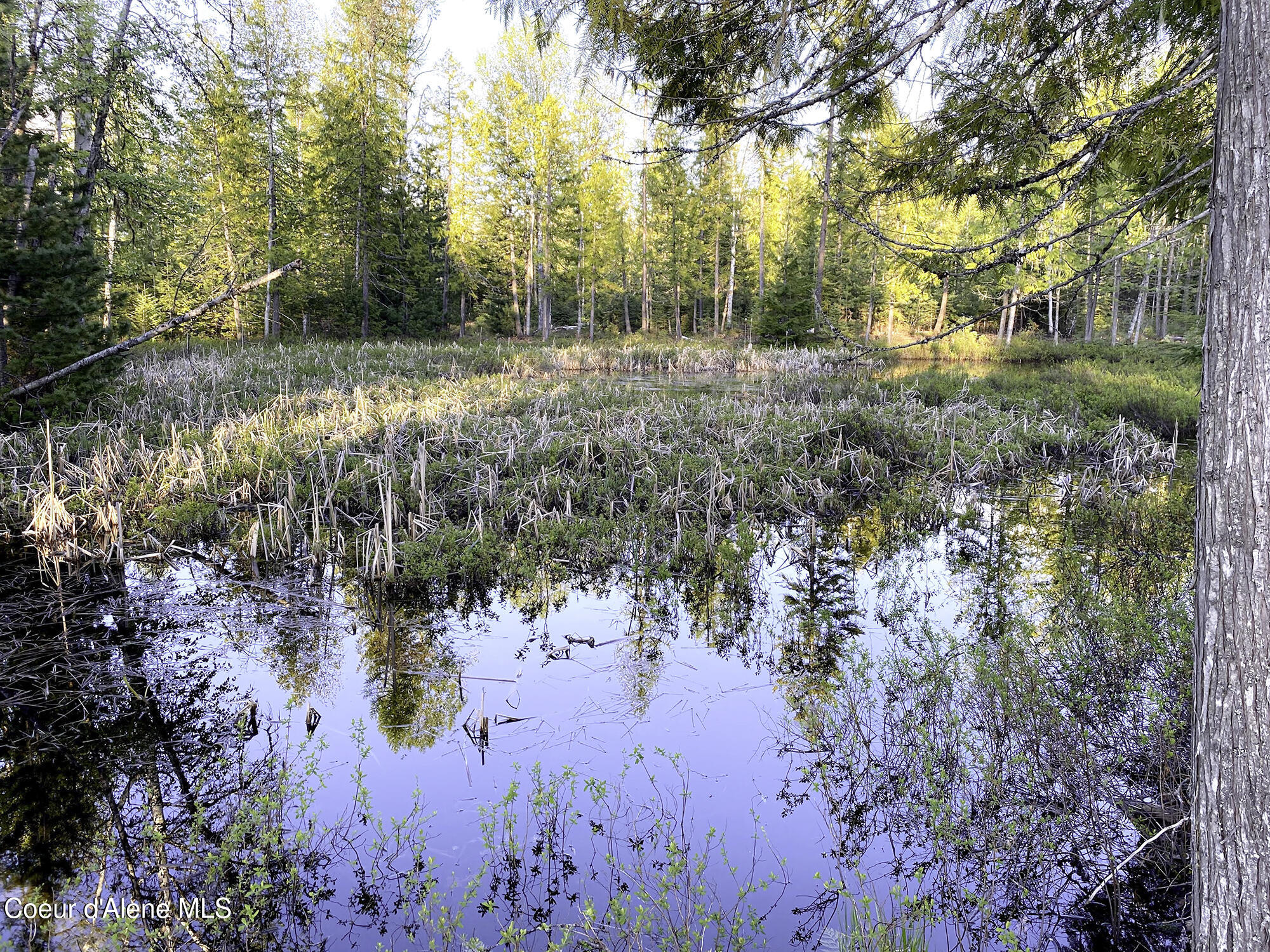 1150 E Old Range Rd, Clark Fork, Idaho image 1