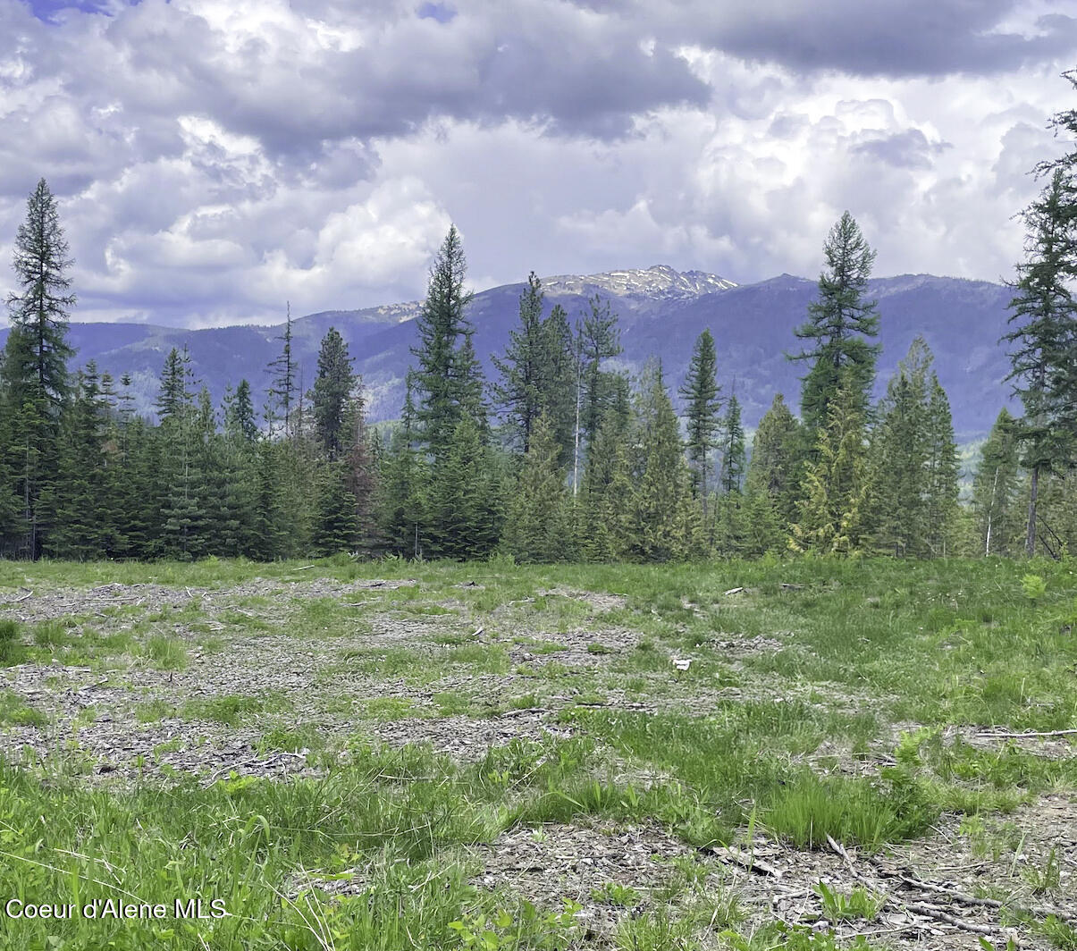 1150 E Old Range Rd, Clark Fork, Idaho image 8