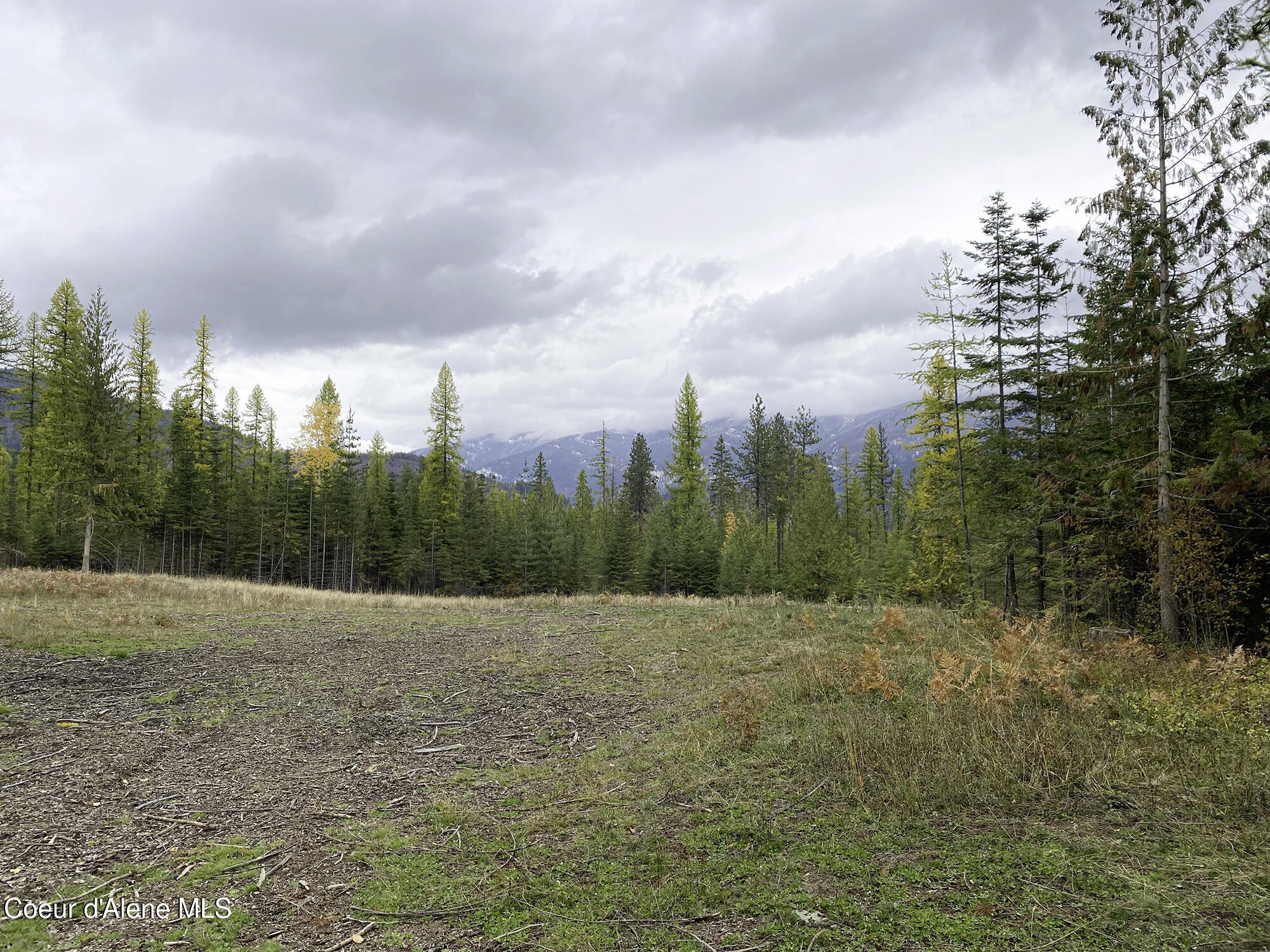 1150 E Old Range Rd, Clark Fork, Idaho image 3