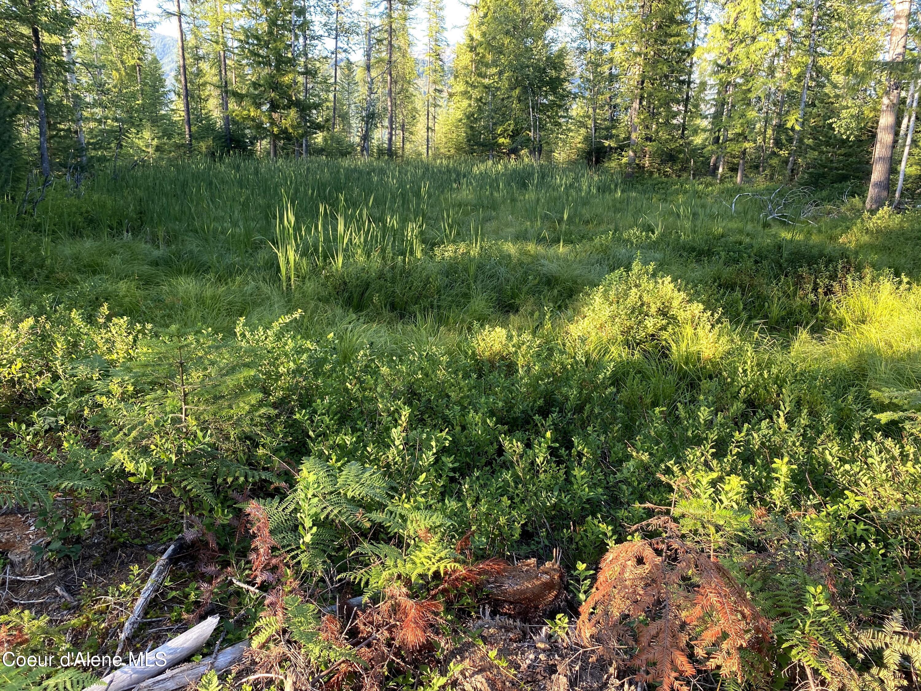 1150 E Old Range Rd, Clark Fork, Idaho image 12