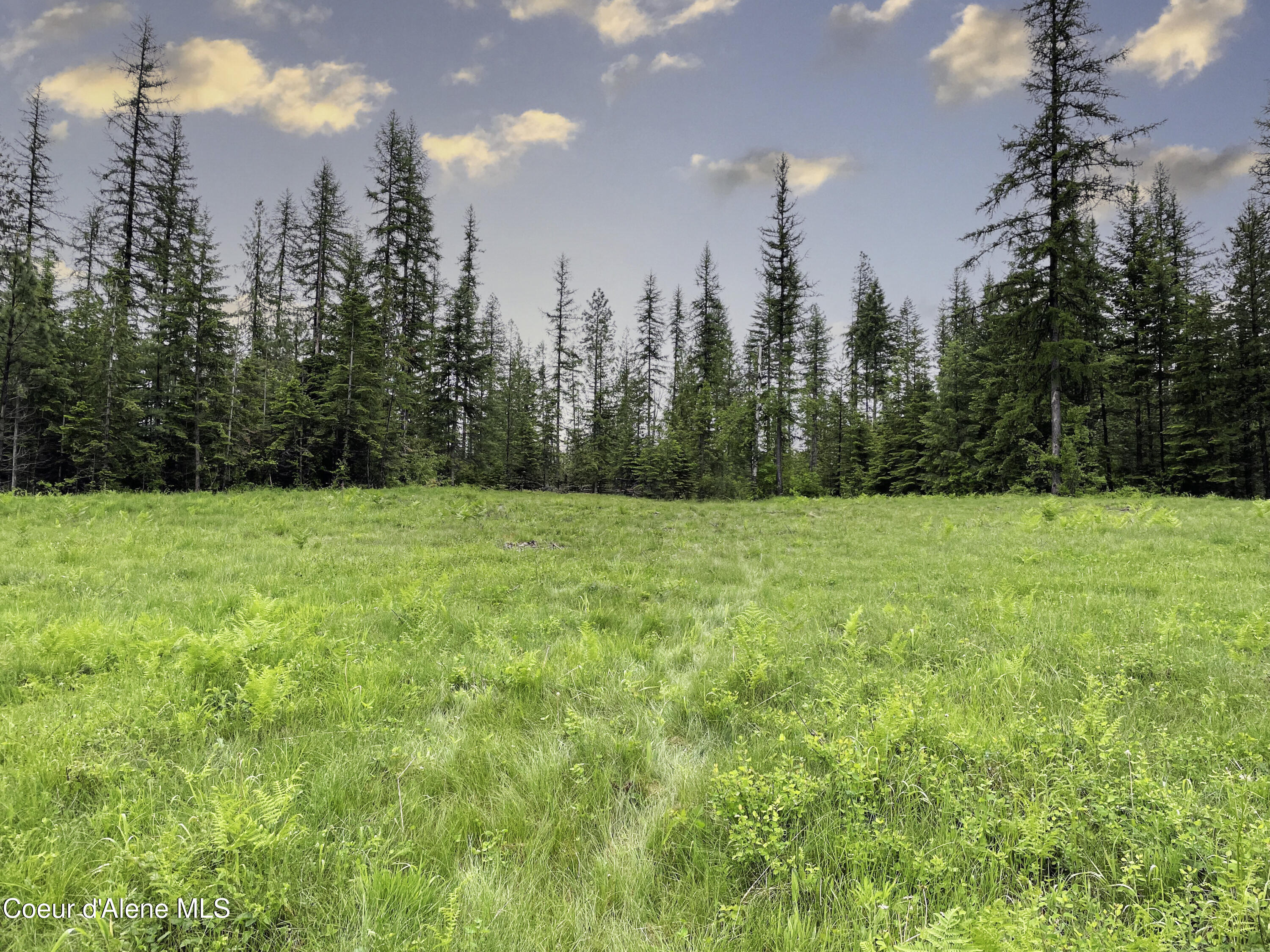 1150 E Old Range Rd, Clark Fork, Idaho image 5