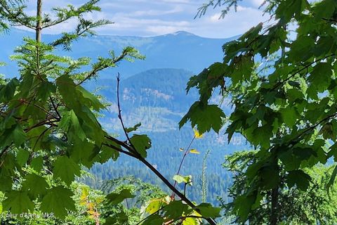 Vacant Land For Sale - 718 Slippery Slope Lot 1 Trl<br/> Priest River, ID 83856