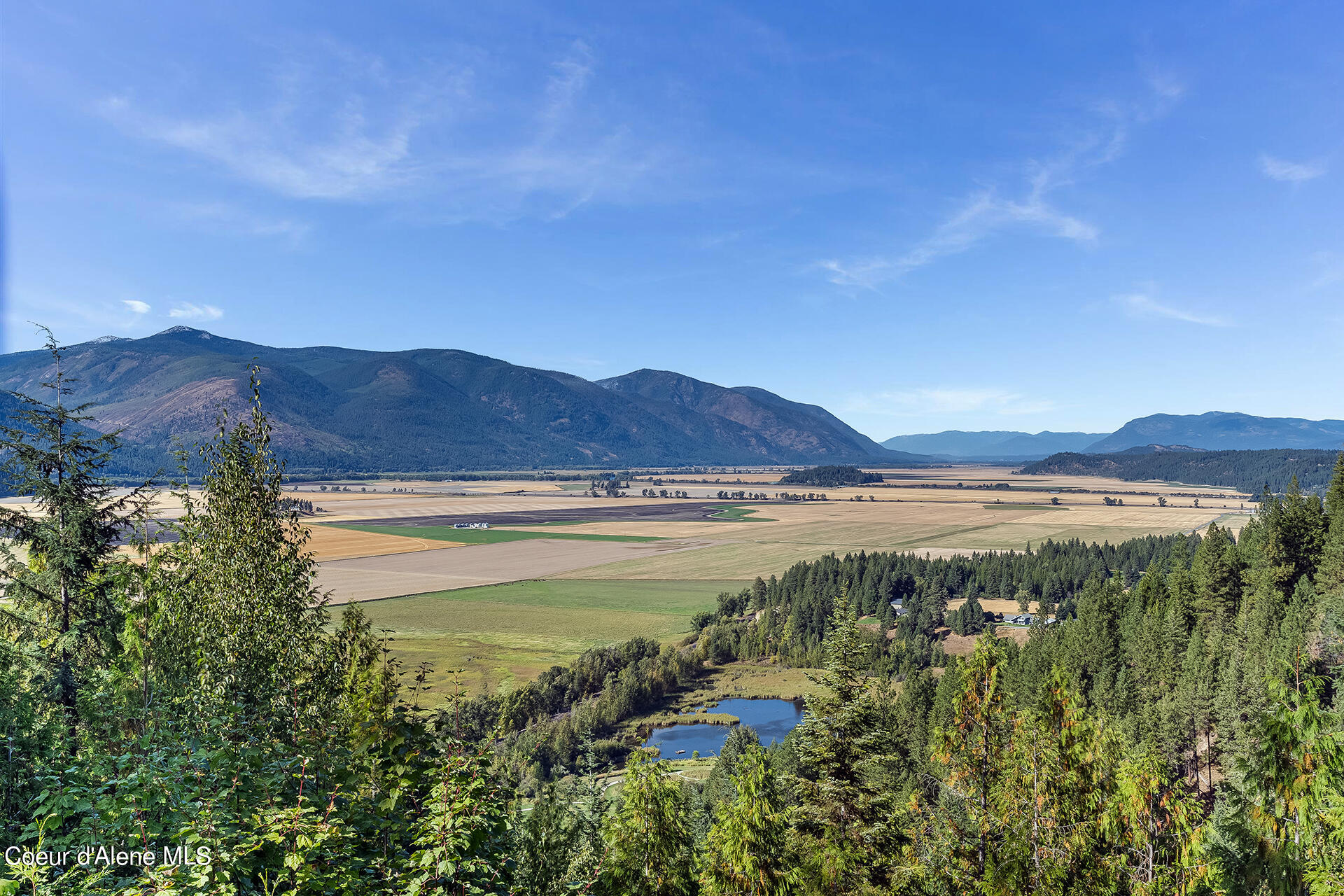 887 & 831 Treetop Bluff, Bonners Ferry, Idaho image 2