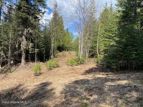 Vacant Land For Sale - NNA Upper Gold Crk Crk<br/> Sandpoint, ID 83864