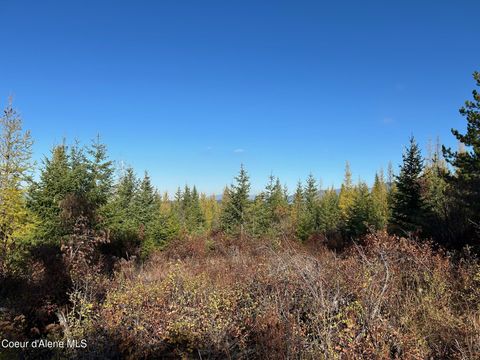 Vacant Land For Sale - TRACT B Usfs 2222a<br/> Bonners Ferry, ID 83805