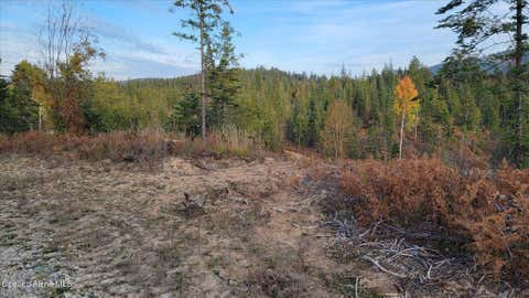 Vacant Land For Sale - LOT 2 Pioneer<br/> Priest River, ID 83856