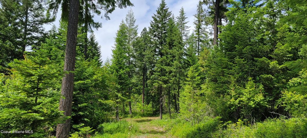 Photo of NNA Continental Lane-Tract 1, Bonners Ferry, ID 83805 (MLS # 26-3891)