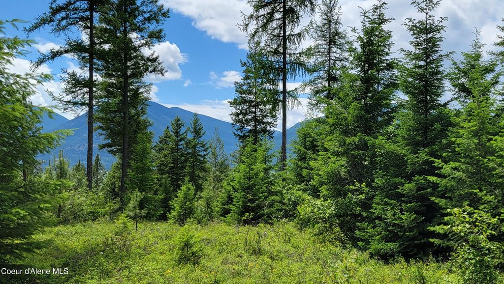 Photo of NNA Continental Lane-Tract 1, Bonners Ferry, ID 83805 (MLS # 26-3891)