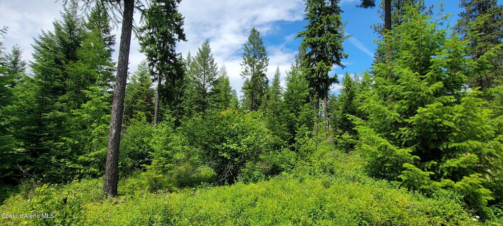 Photo of NNA Continental Lane-Tract 1, Bonners Ferry, ID 83805 (MLS # 26-3891)