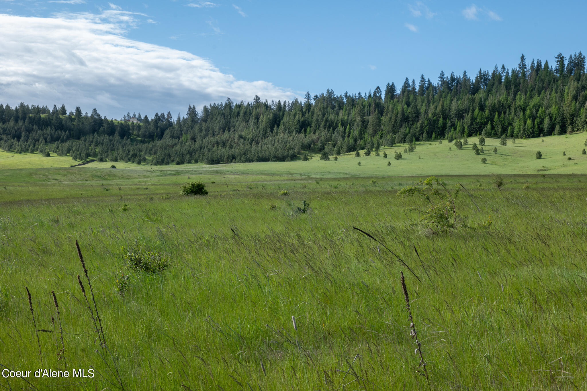 Lot C Merideth Rd, Plummer, Idaho image 18