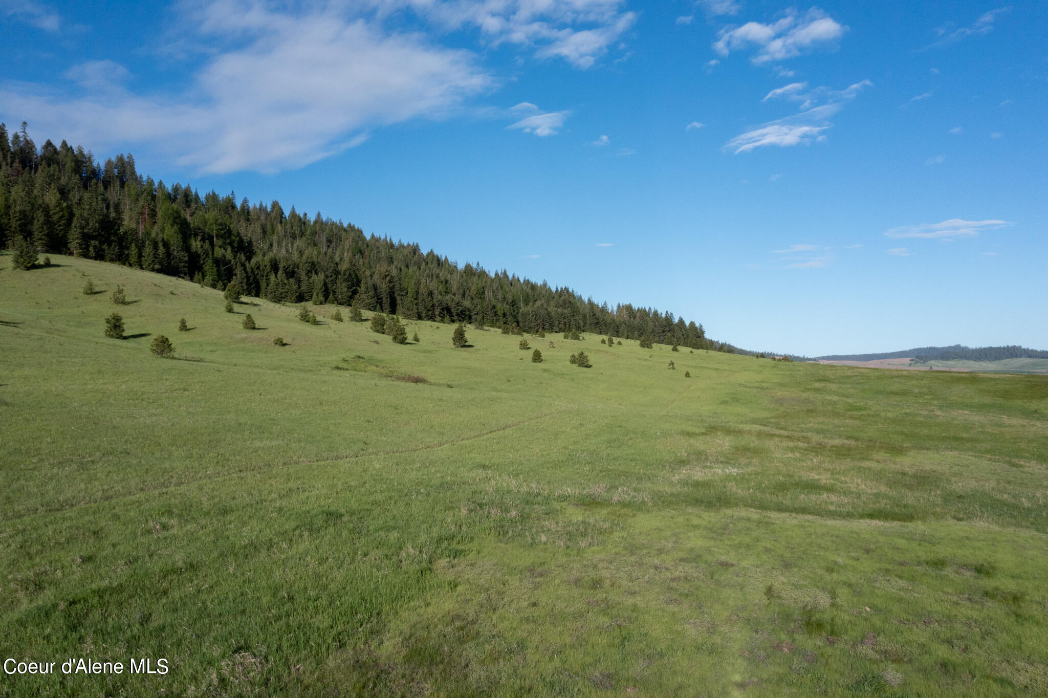 Lot C Merideth Rd, Plummer, Idaho image 2