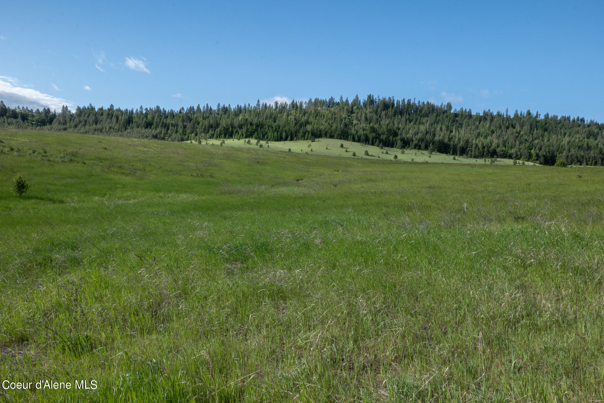 Lot C Merideth Rd, Plummer, Idaho image 5