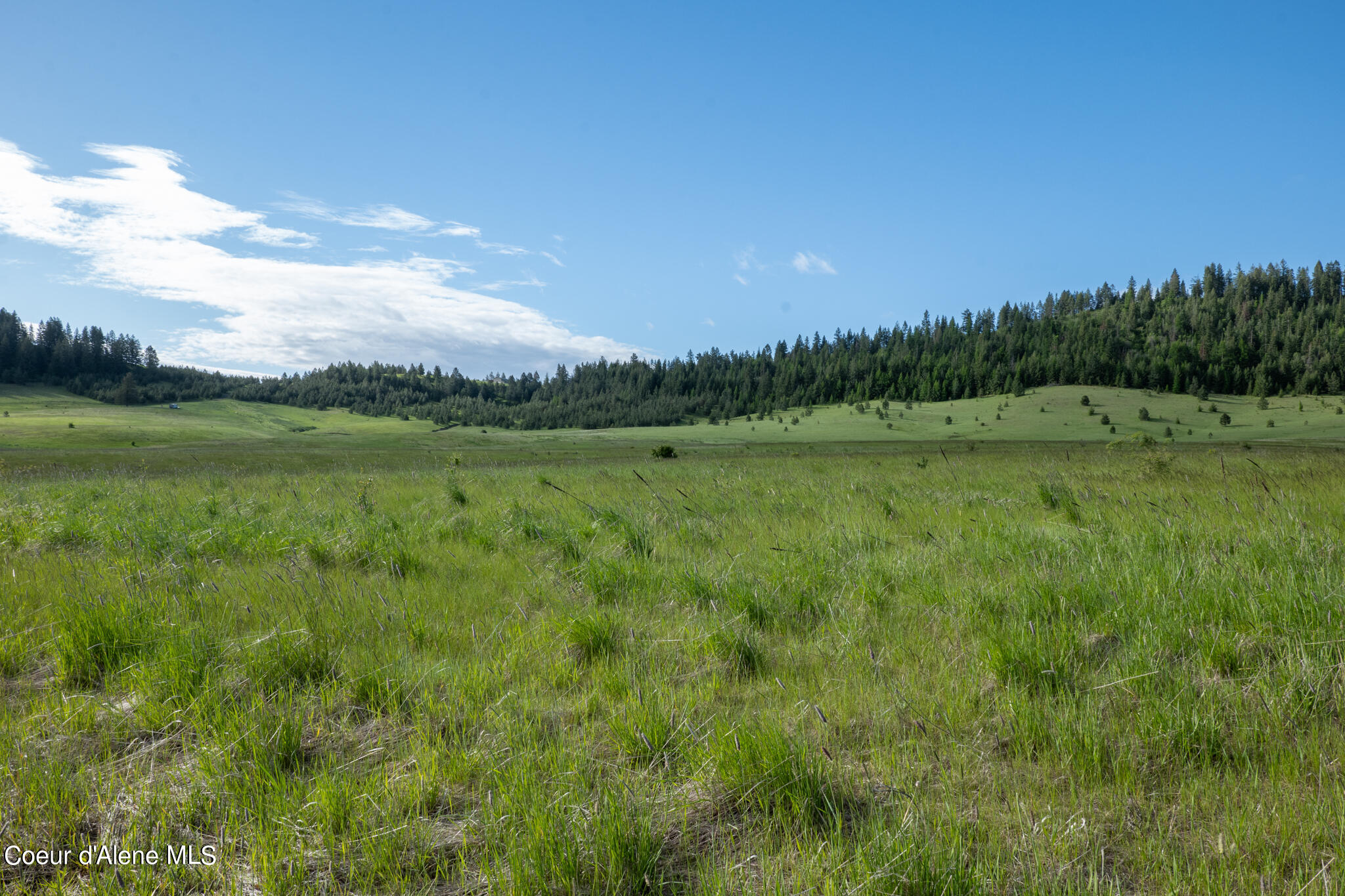 Lot C Merideth Rd, Plummer, Idaho image 13