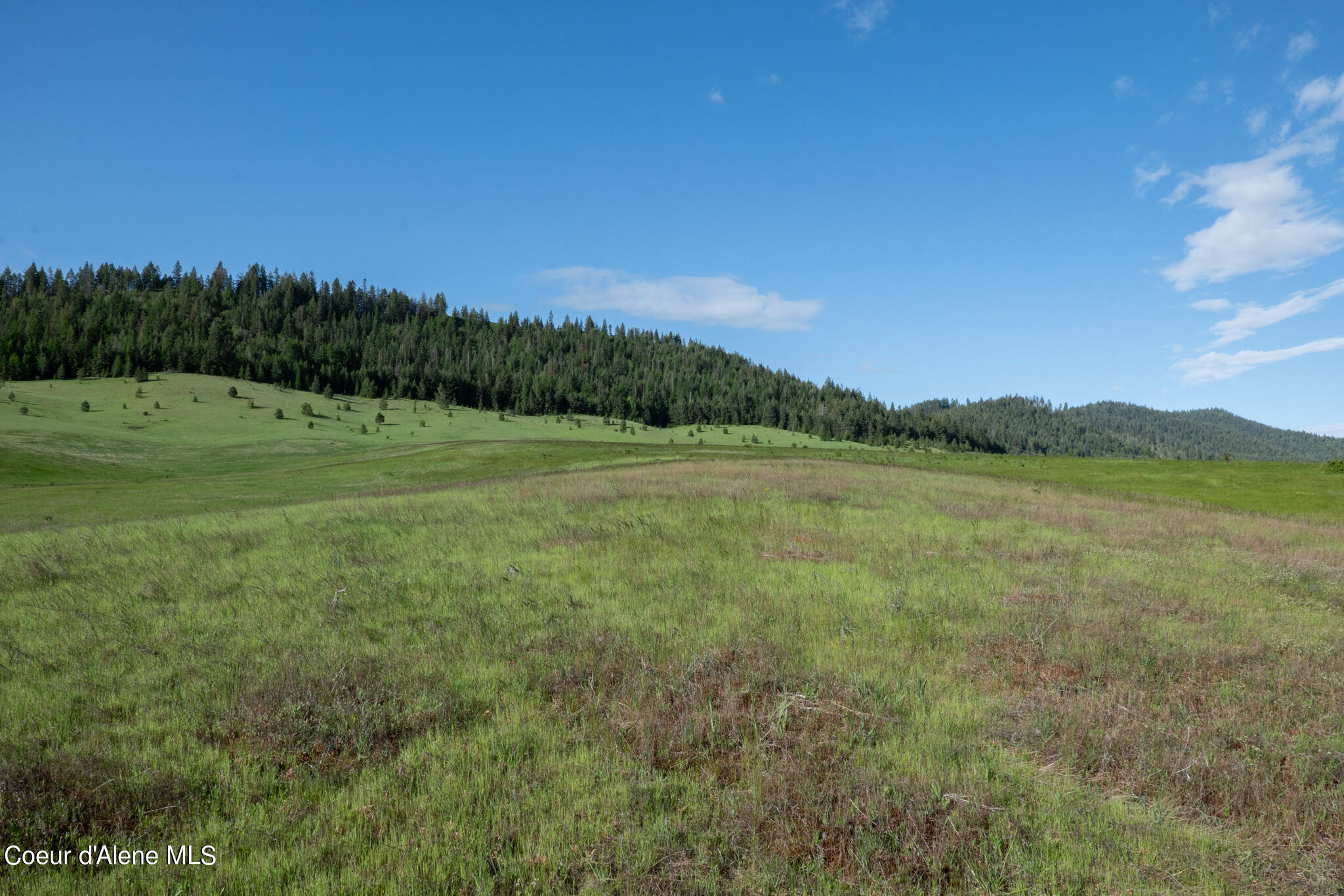 Lot C Merideth Rd, Plummer, Idaho image 9