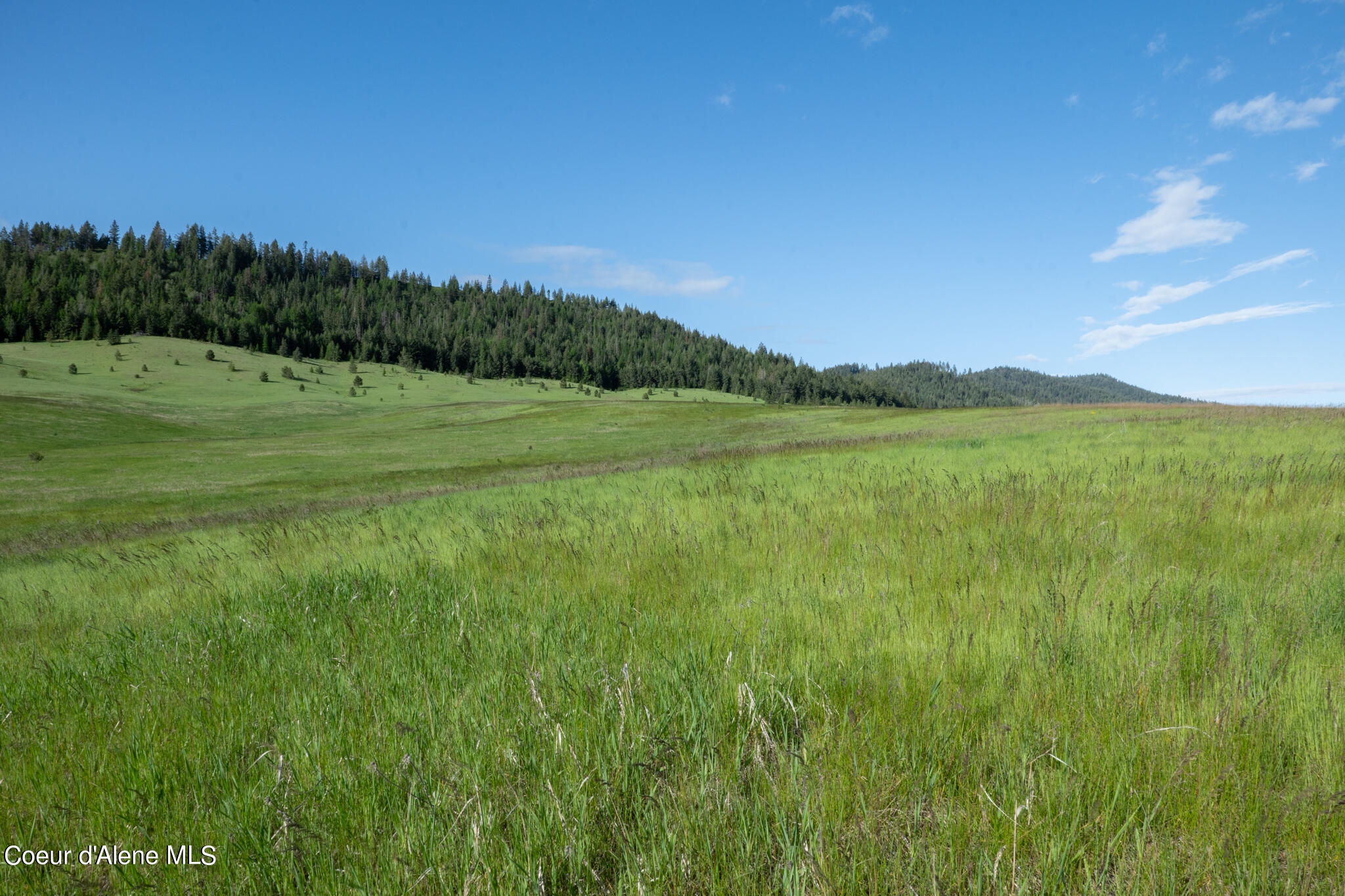 Lot C Merideth Rd, Plummer, Idaho image 8