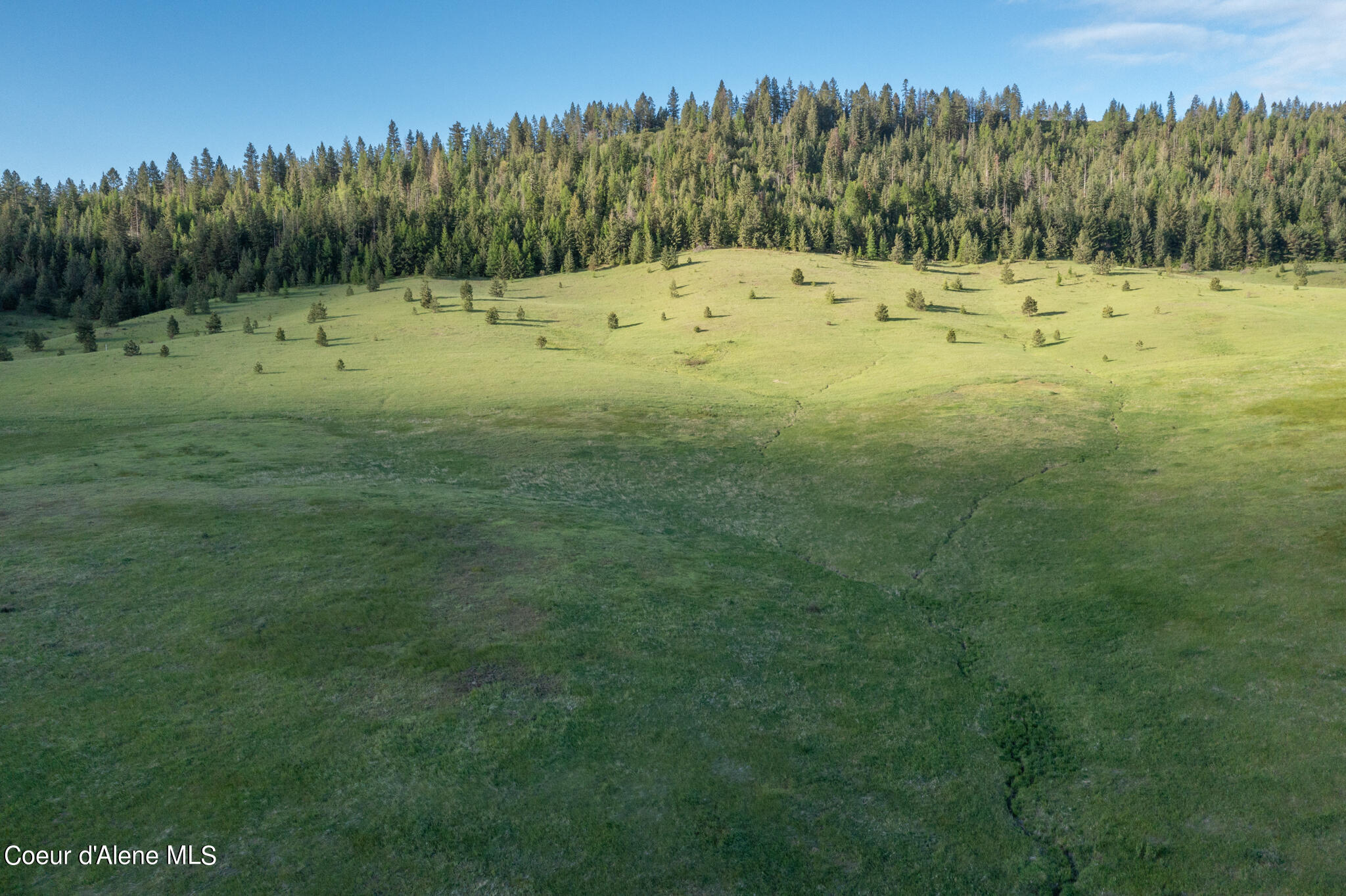 Lot C Merideth Rd, Plummer, Idaho image 25