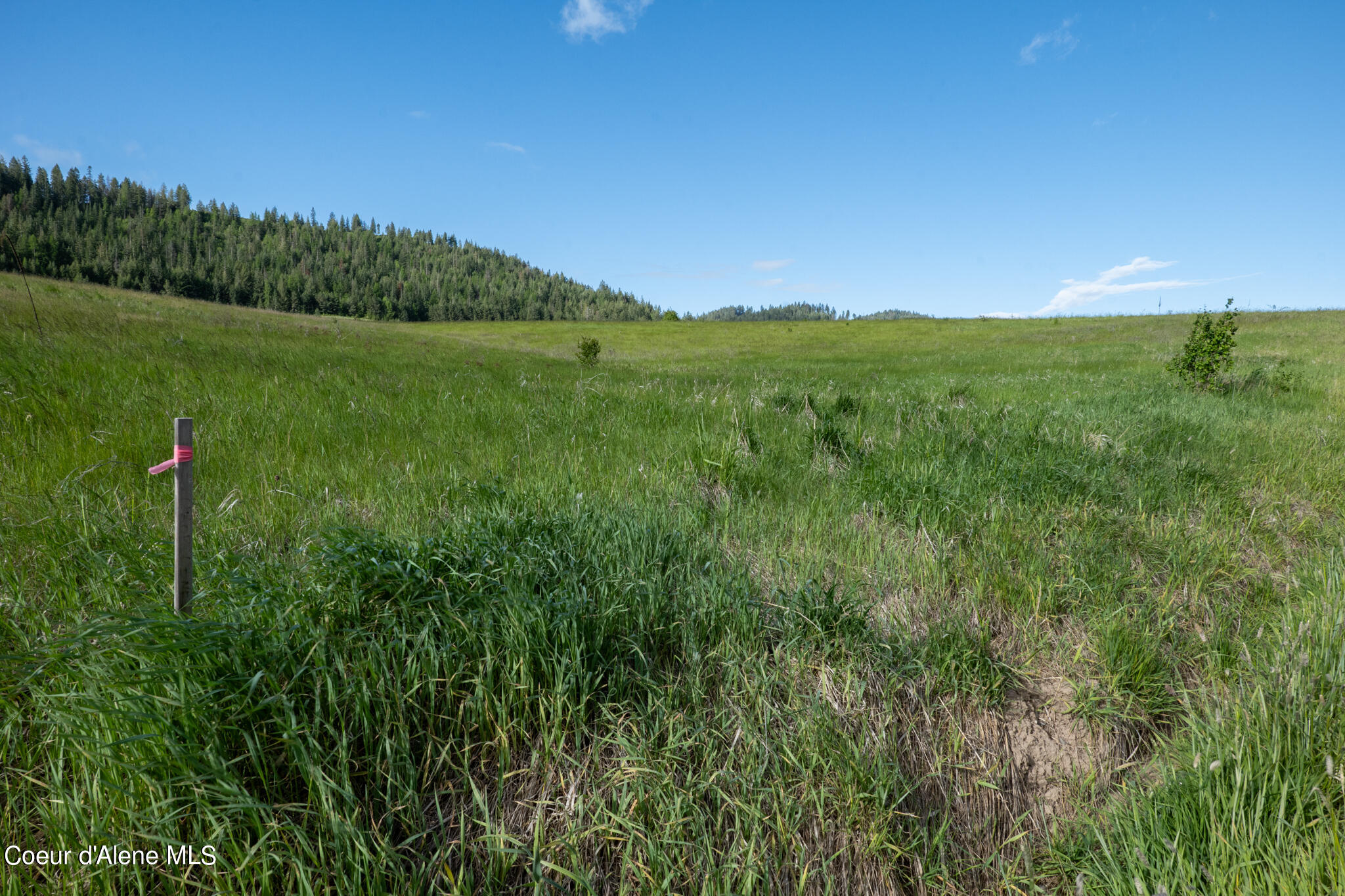 Lot C Merideth Rd, Plummer, Idaho image 7