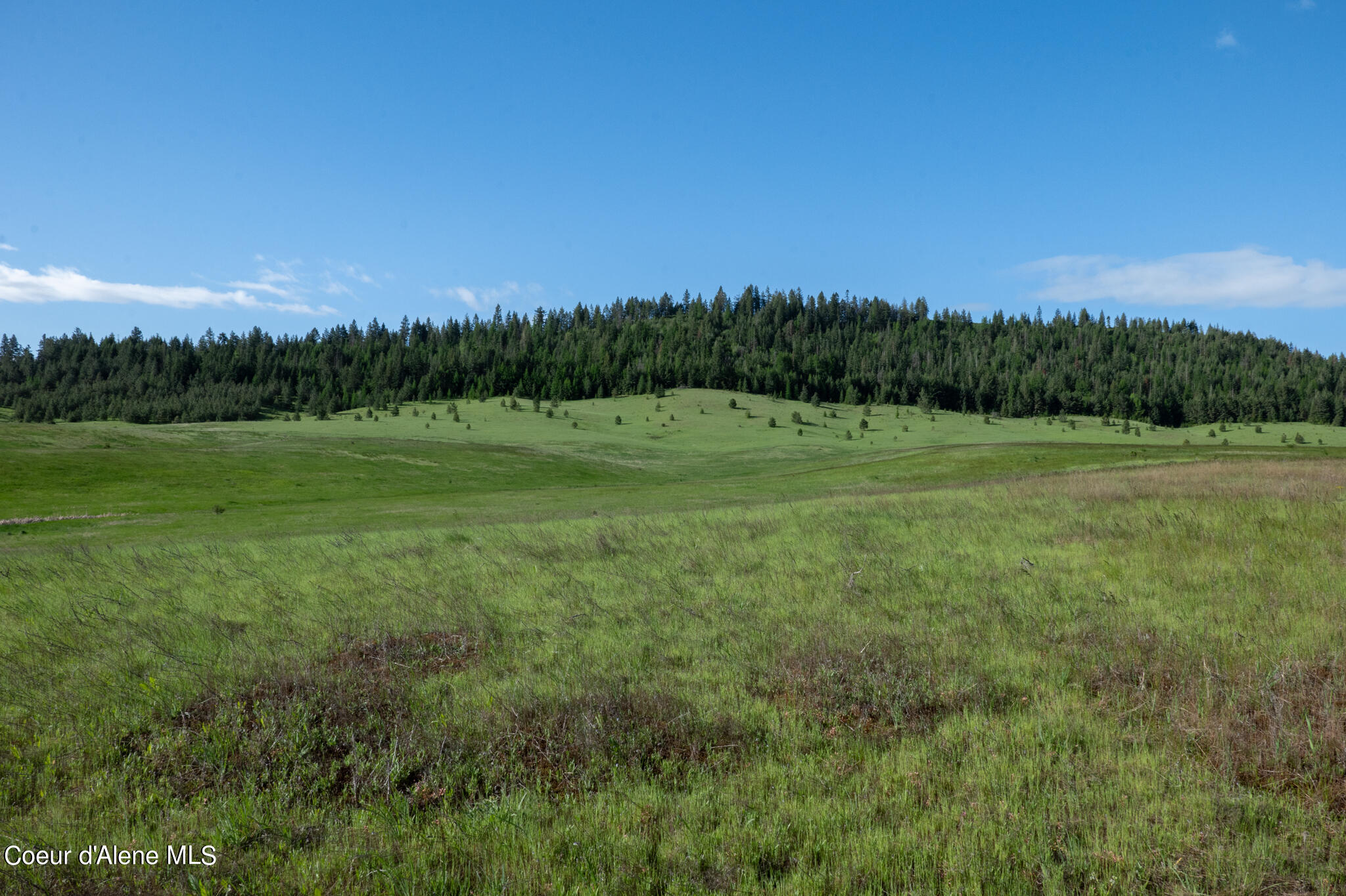Lot C Merideth Rd, Plummer, Idaho image 26