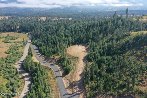 Vacant Land For Sale - NKA Big Carpenter Creek Creek<br/> Fernwood, ID 83830